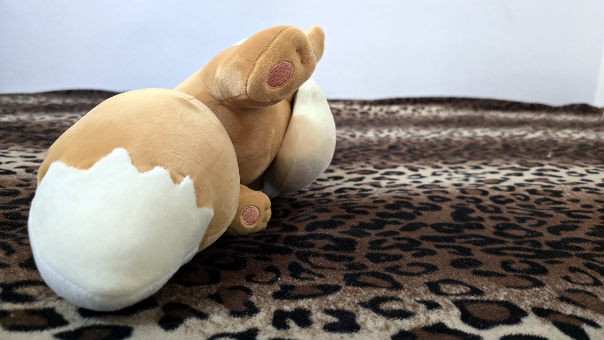 20251113_171251 (Copy)