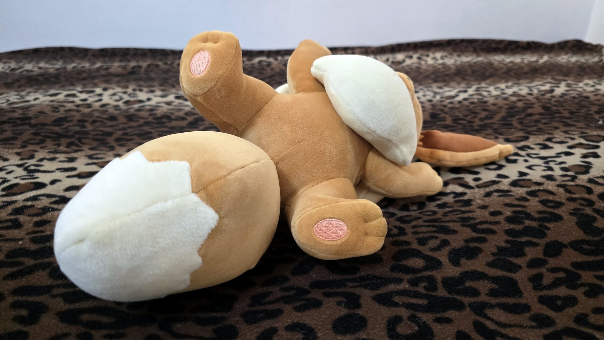 20251113_171255 (Copy)