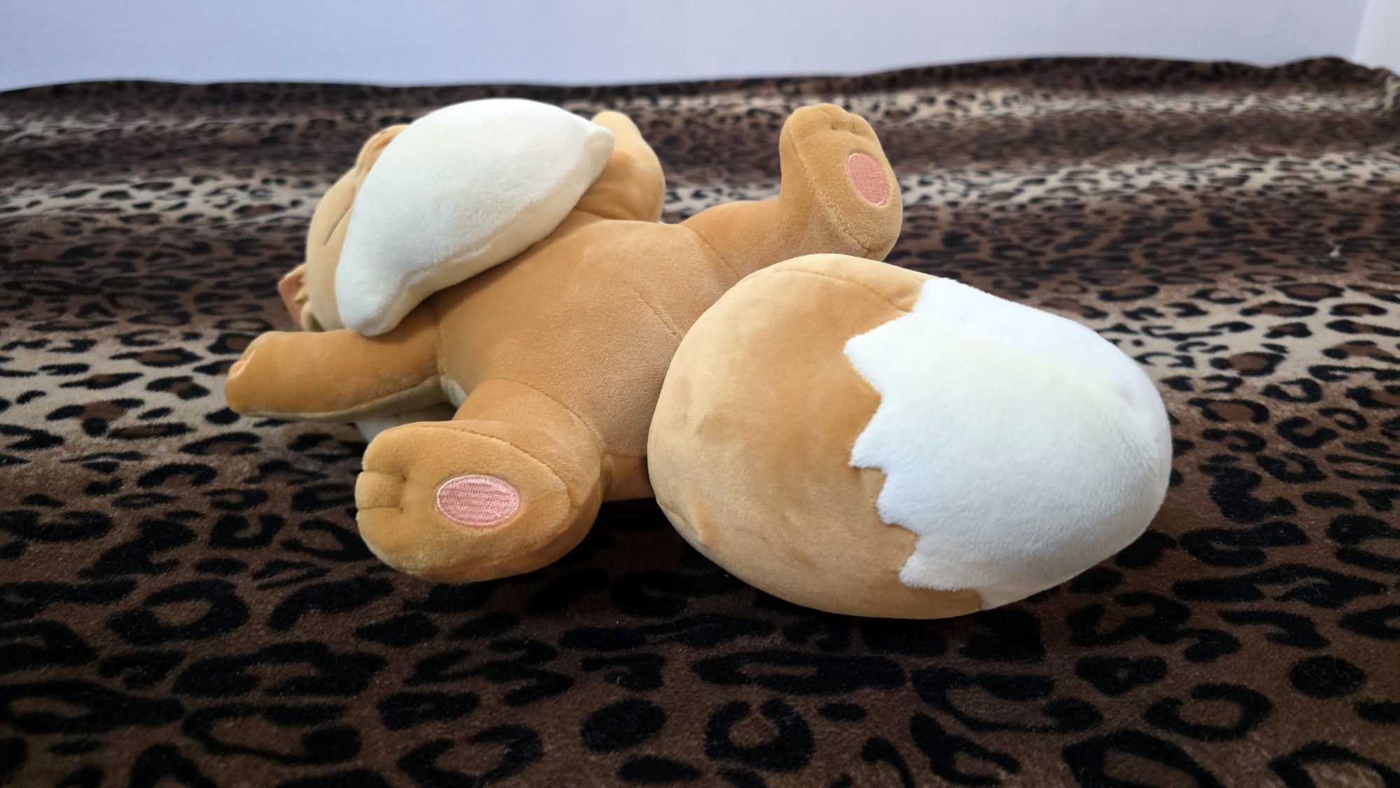 20251113_171259 (Copy)