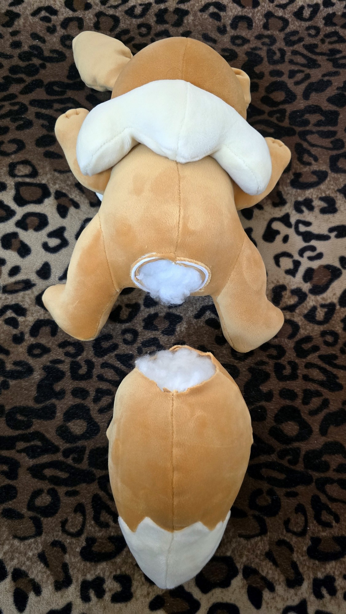 20251113_171456 (Copy)