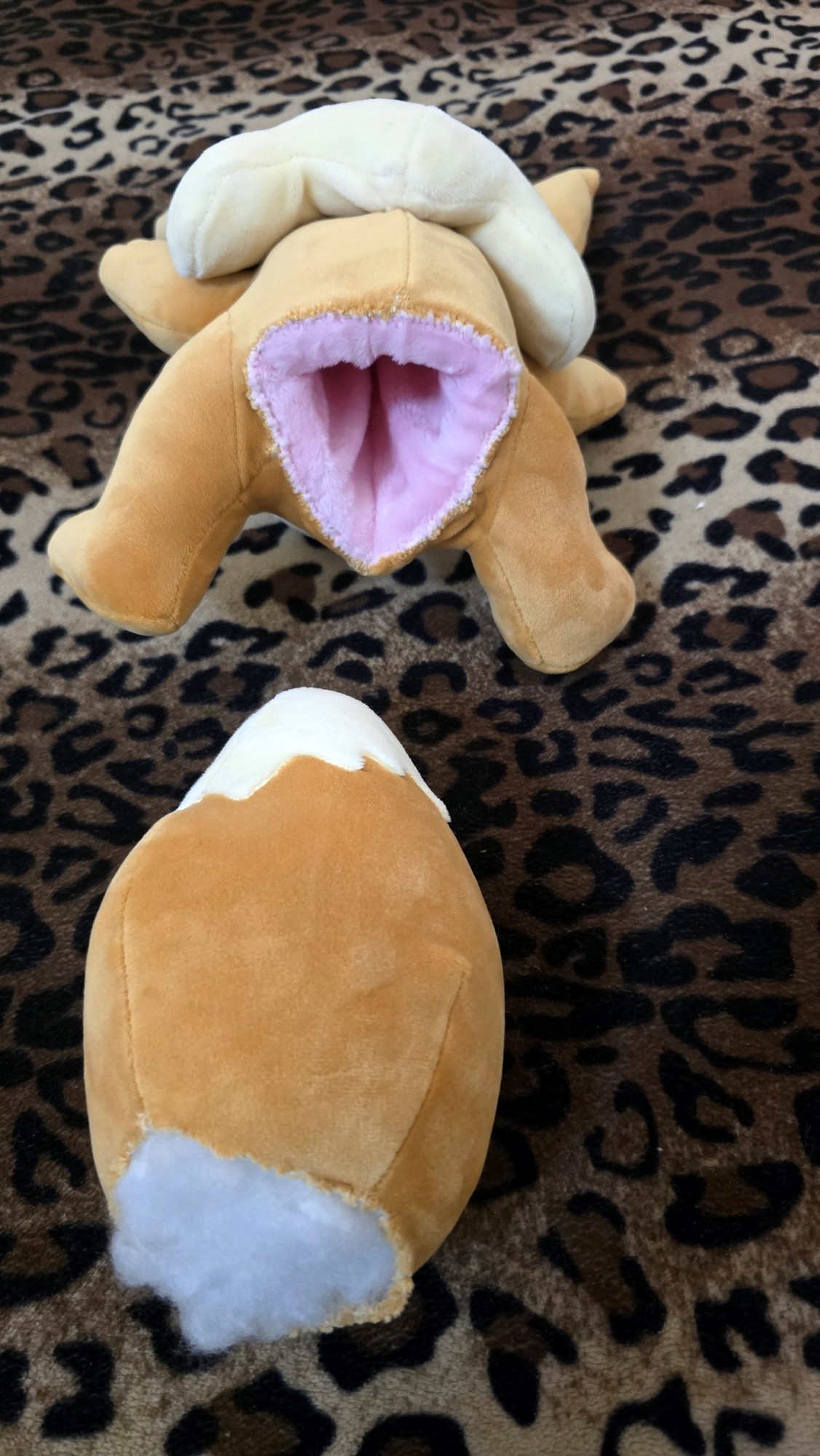 20251113_180015(0) (Copy)