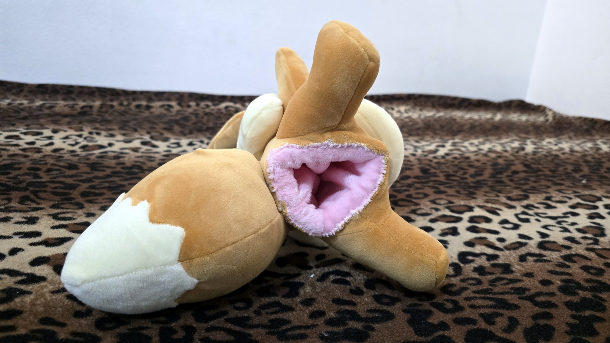 20251113_183623 (Copy)