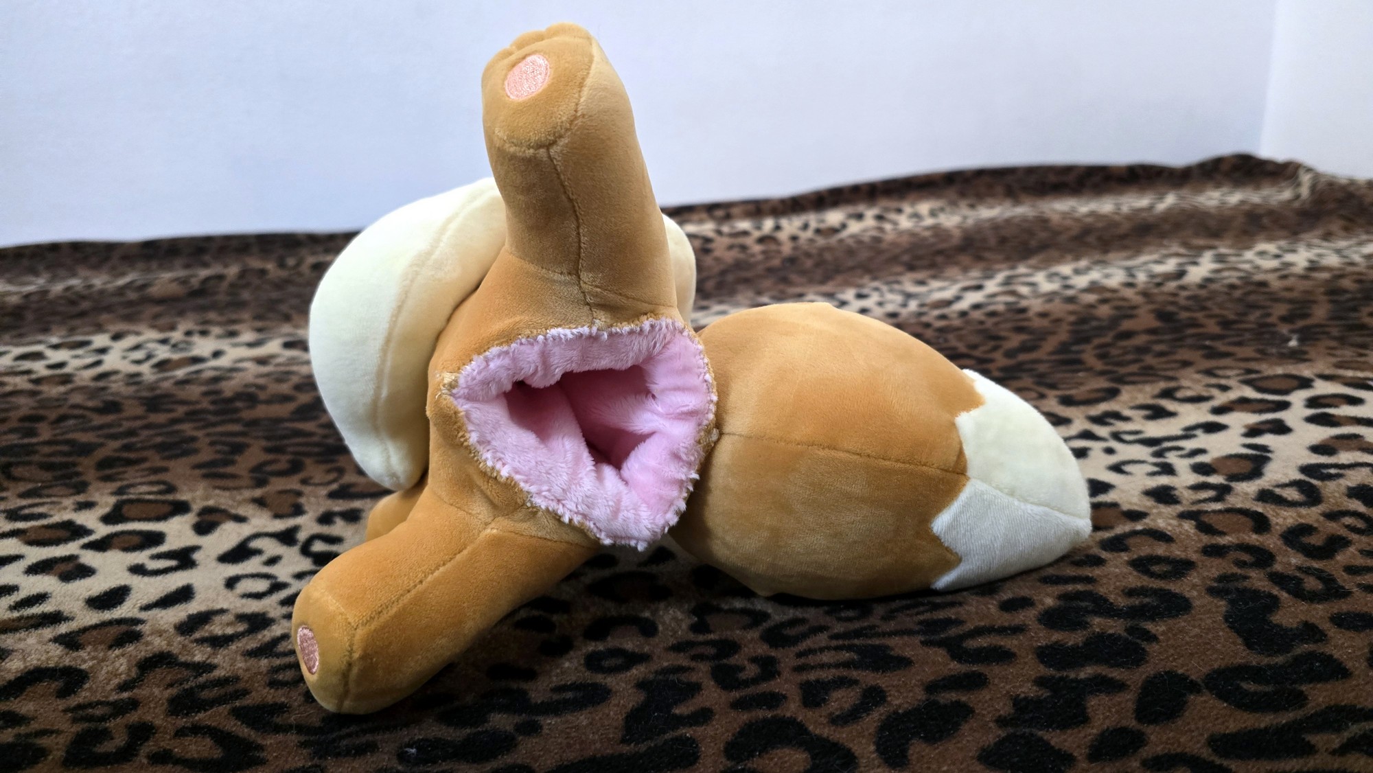 20251113_183626(0) (Copy)