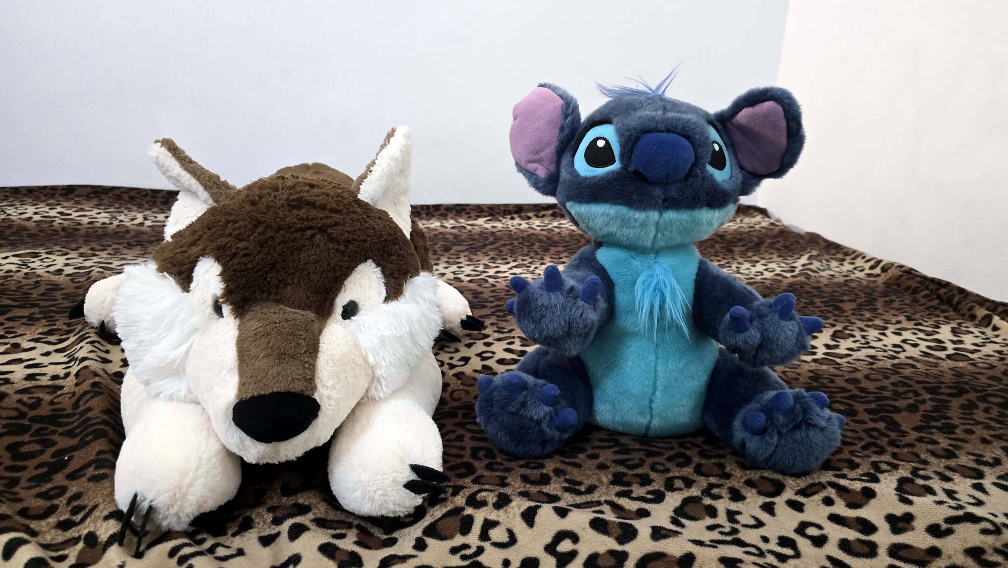 20251119_123806(0) (Copy)