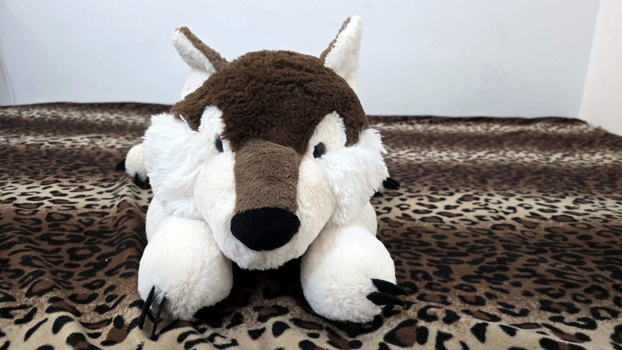 20251119_123811(0) (Copy)