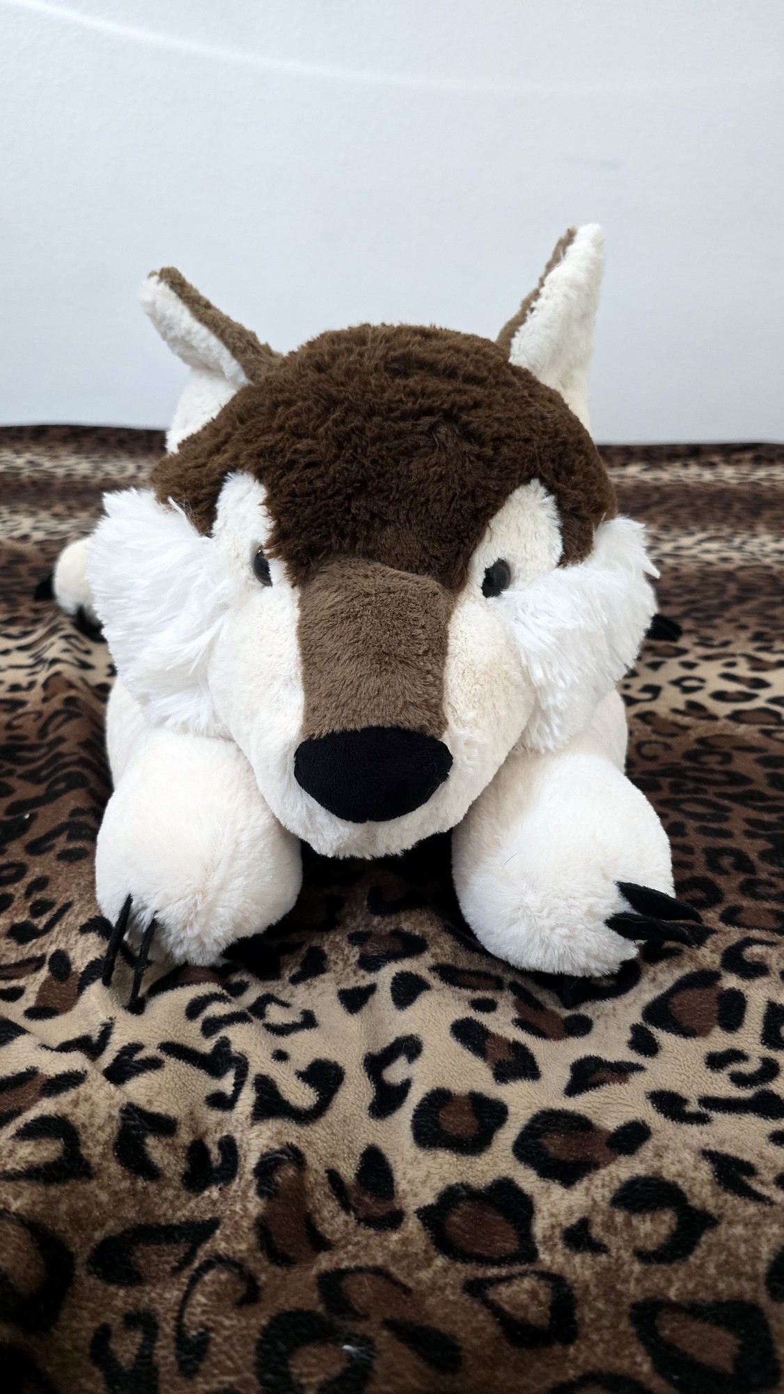 20251119_123814(0) (Copy)