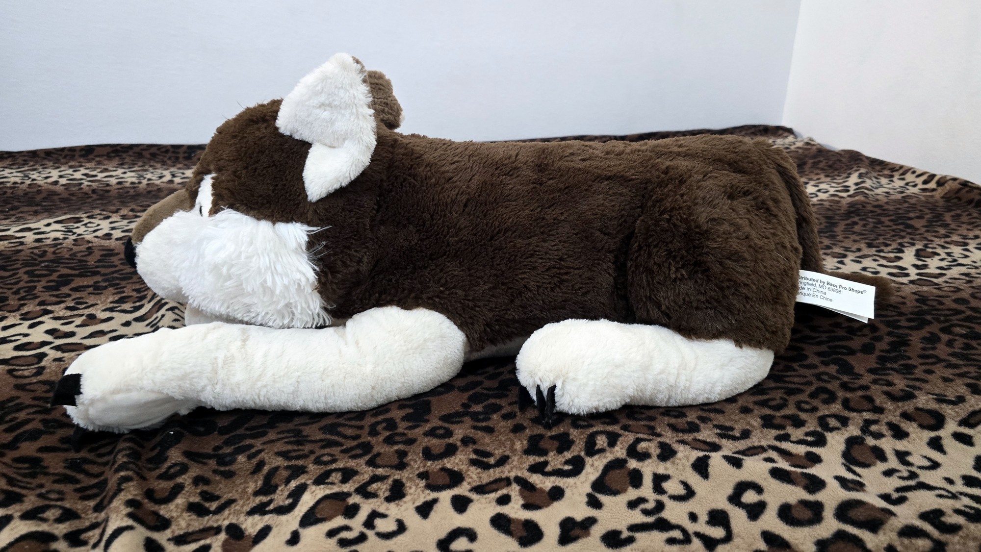 20251119_123825 (Copy)