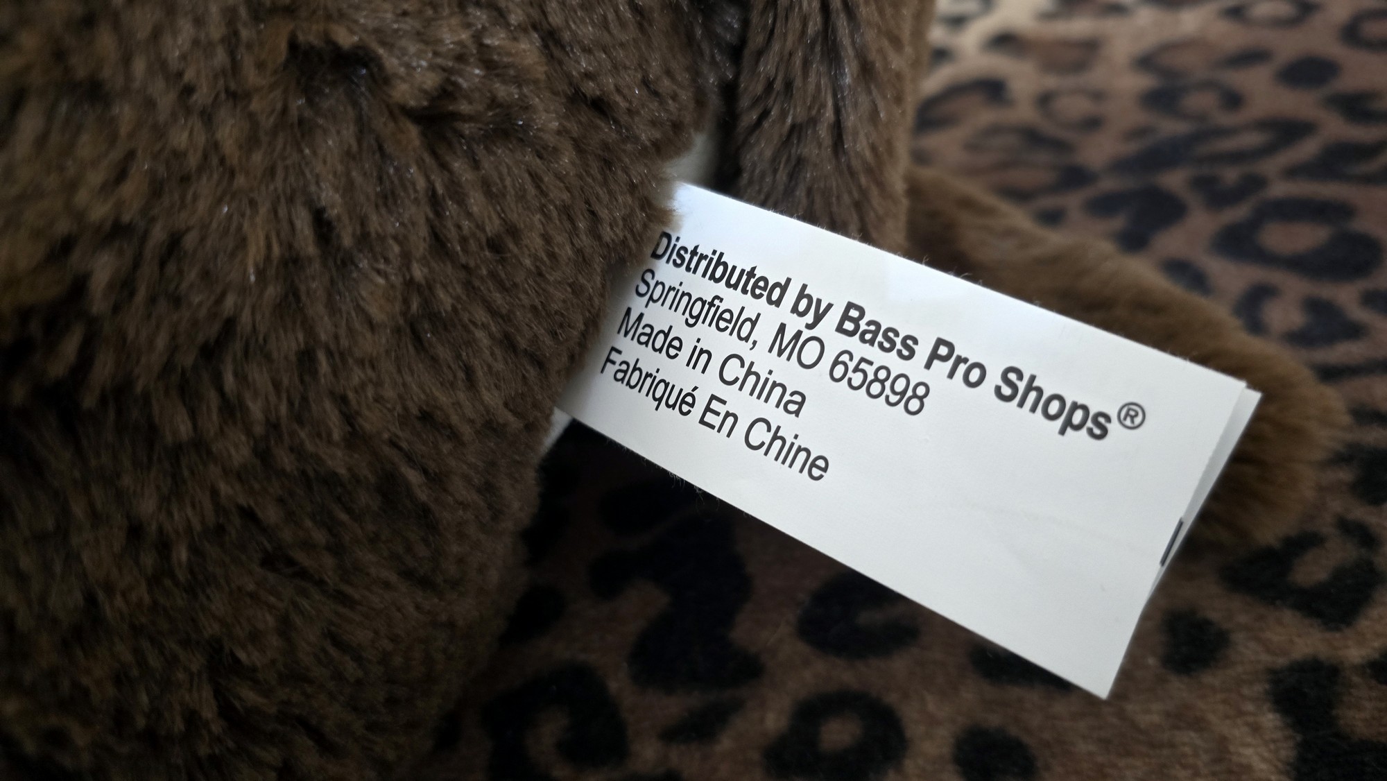 20251119_123830 (Copy)