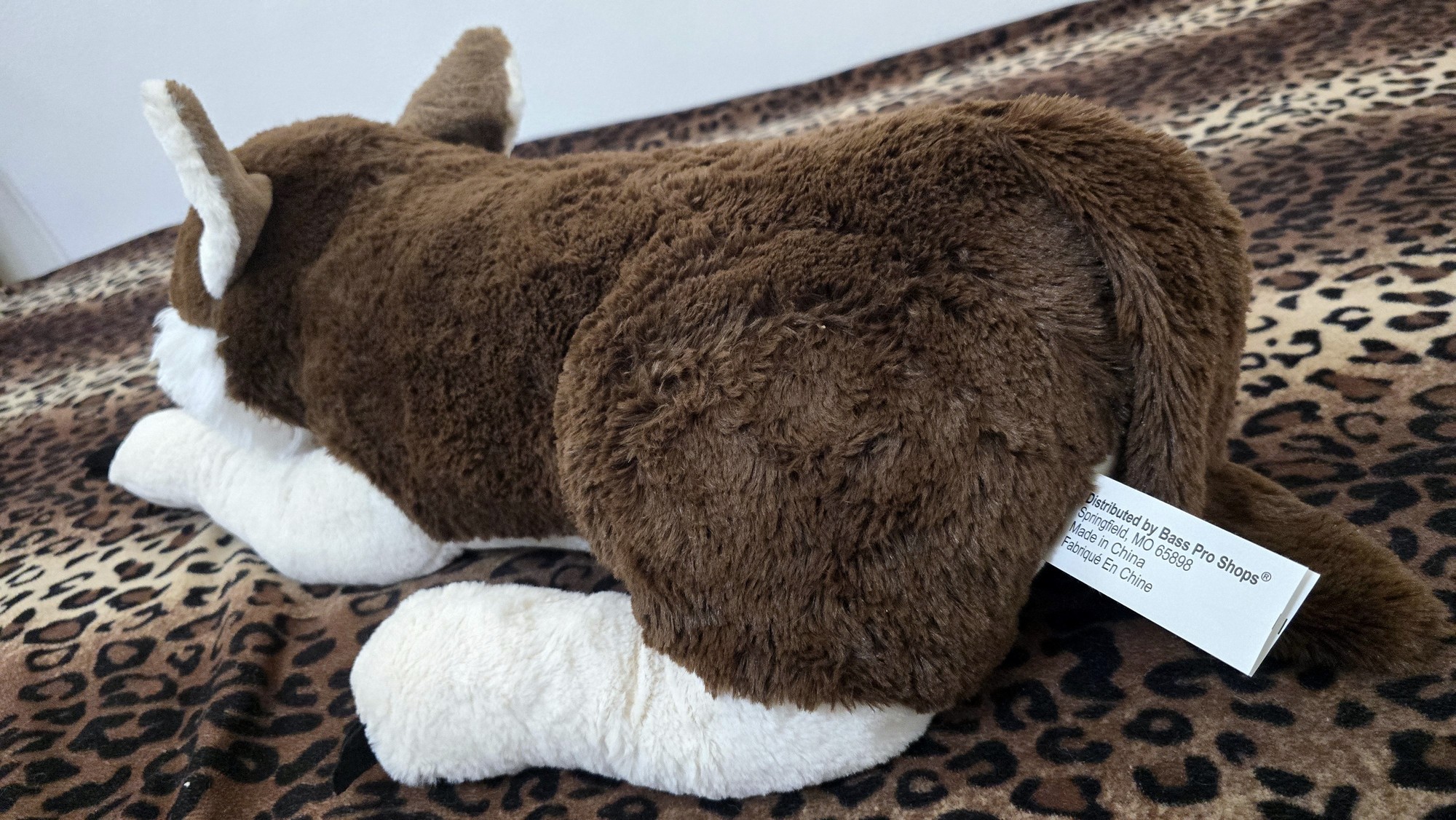 20251119_123835 (Copy)