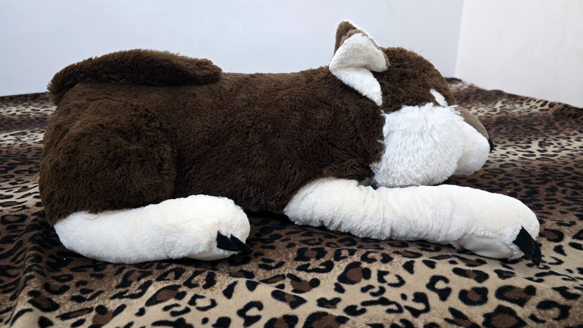 20251119_123846 (Copy)