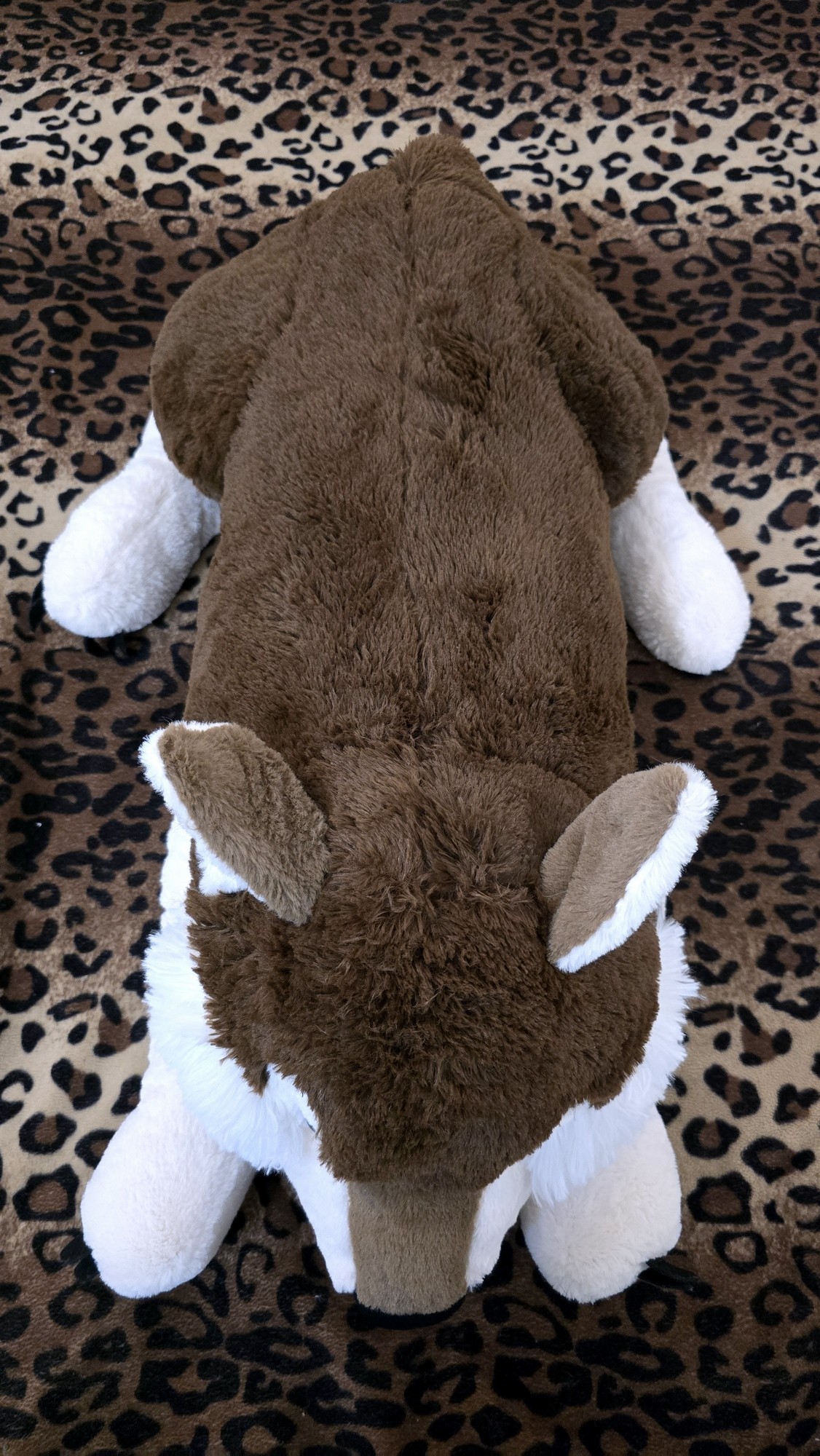 20251119_123857 (Copy)