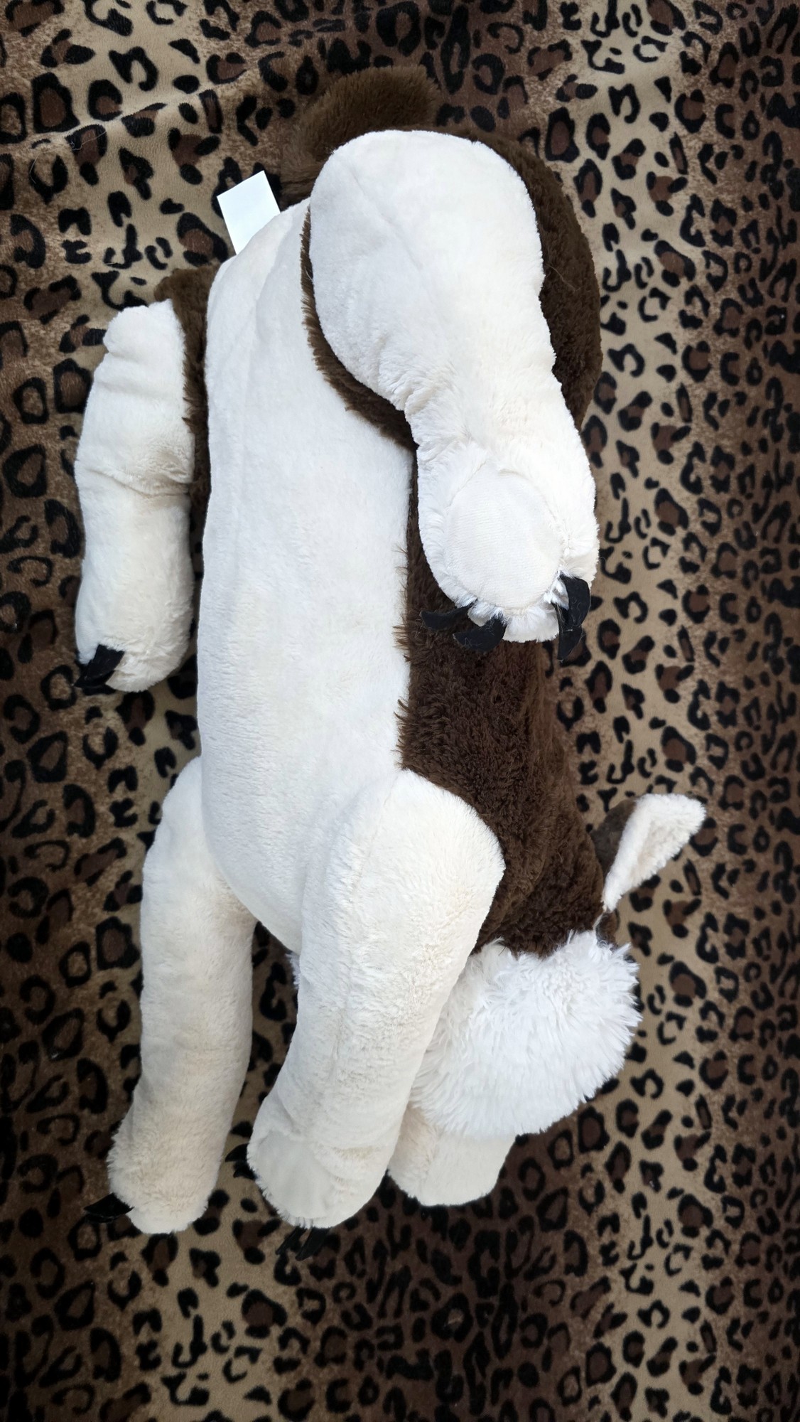 20251119_123905 (Copy)