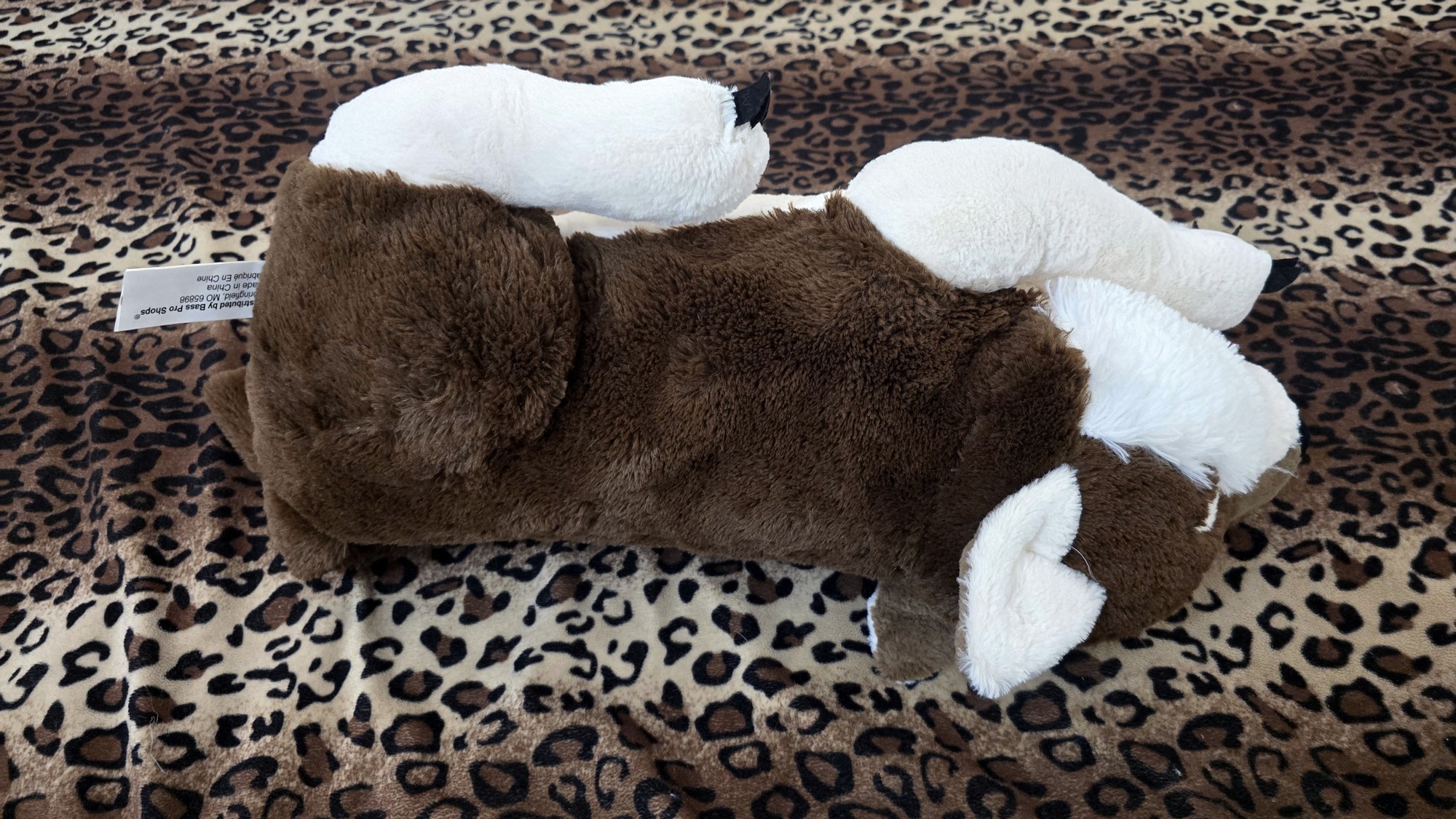 20251119_123916 (Copy)