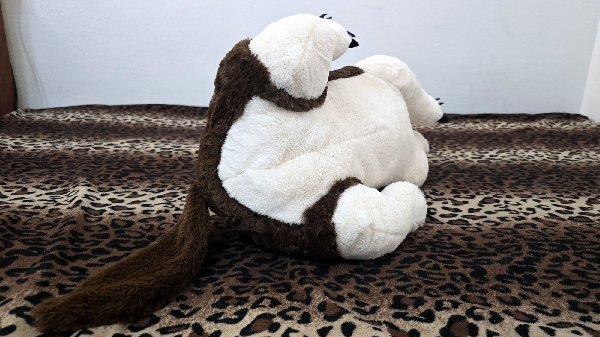 20251119_125151 (Copy)