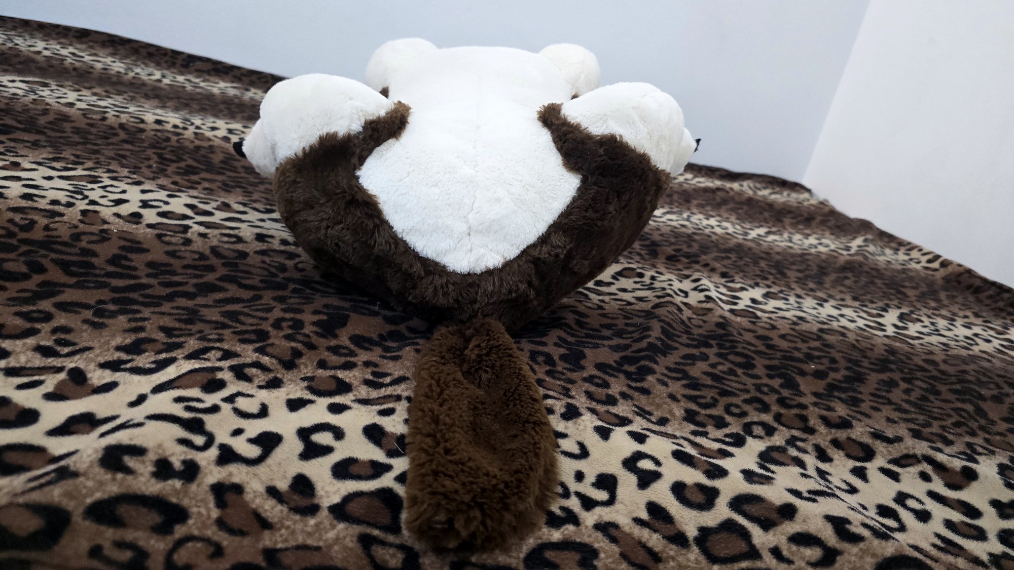 20251119_125202(0) (Copy)