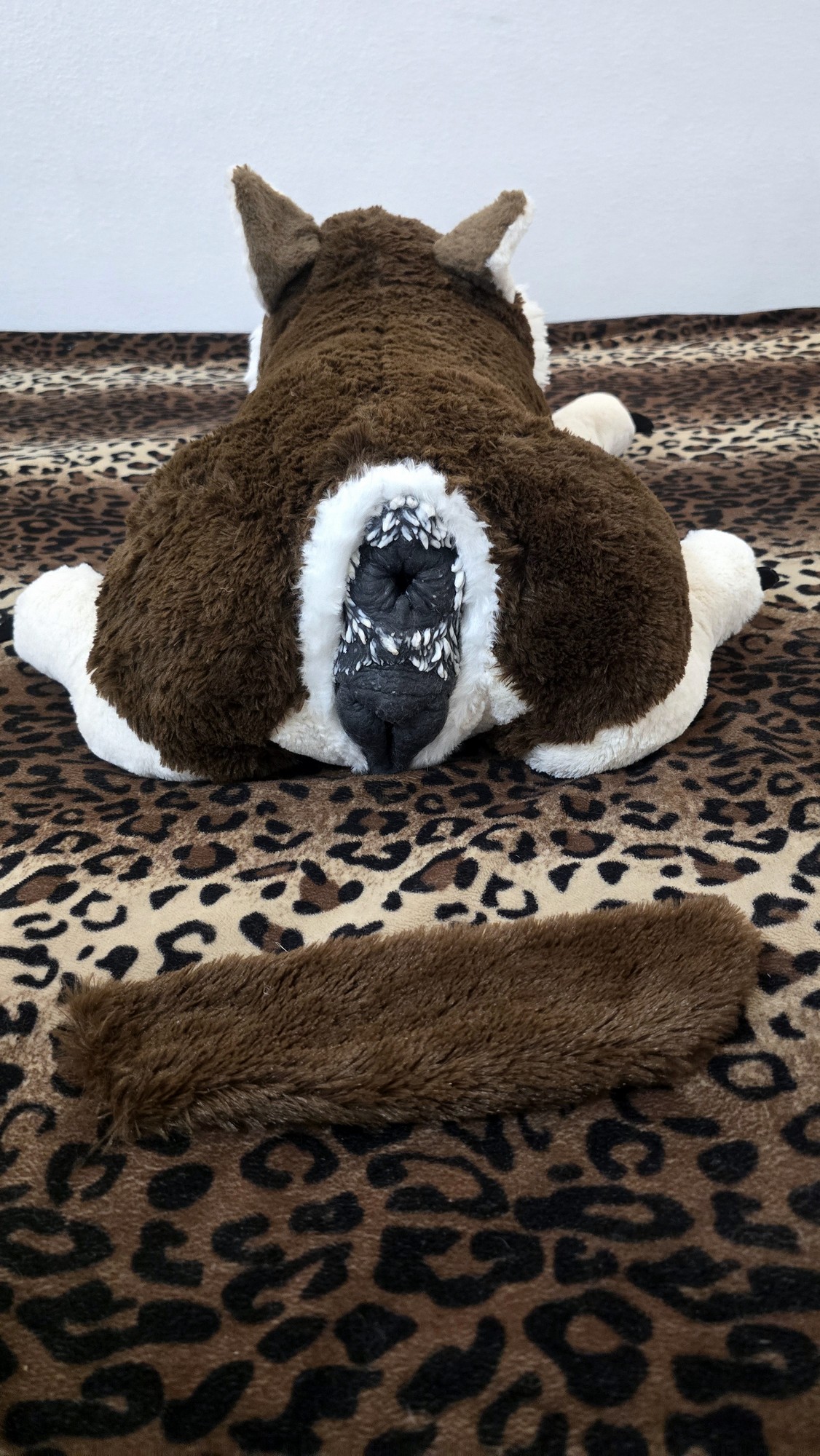 20251119_174742 (Copy)