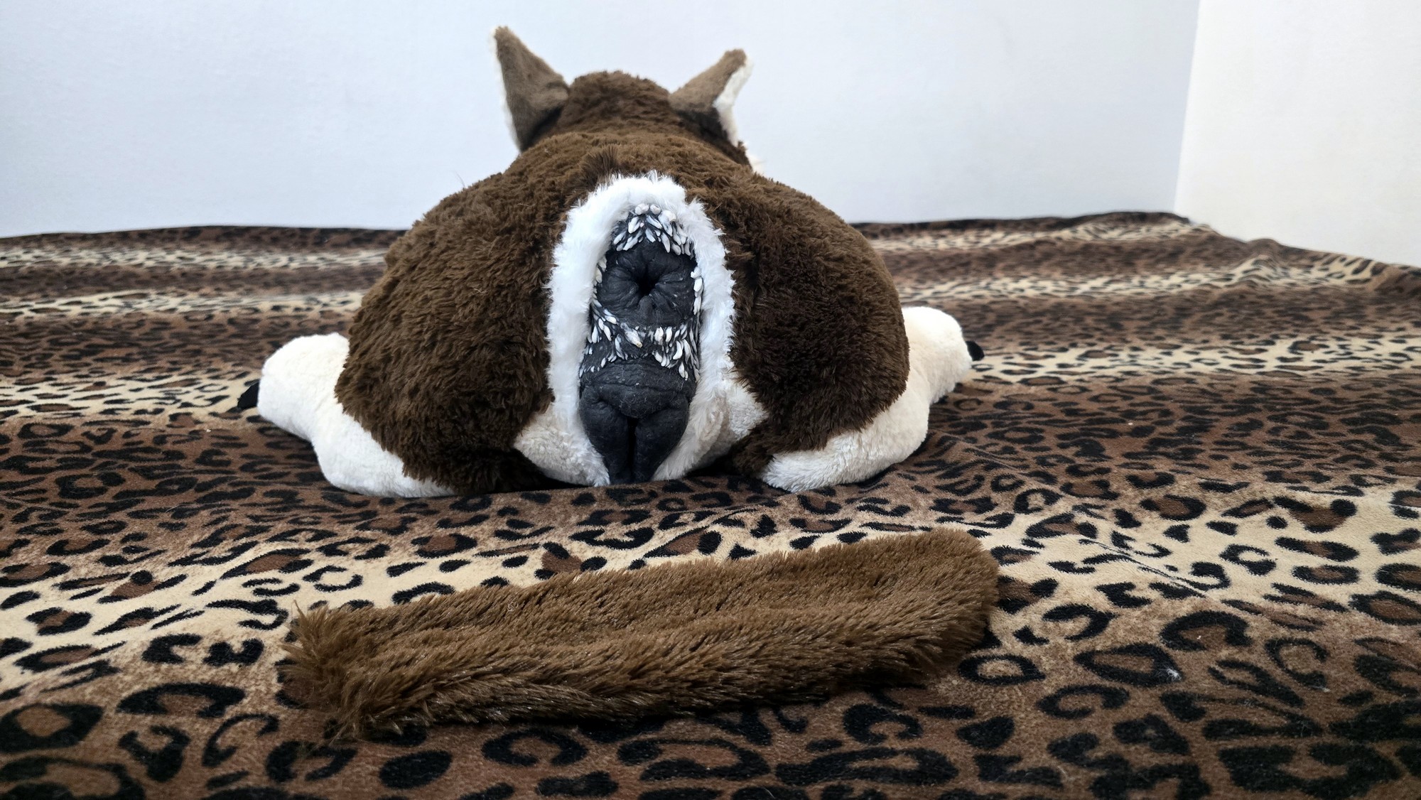 20251119_174750(0) (Copy)