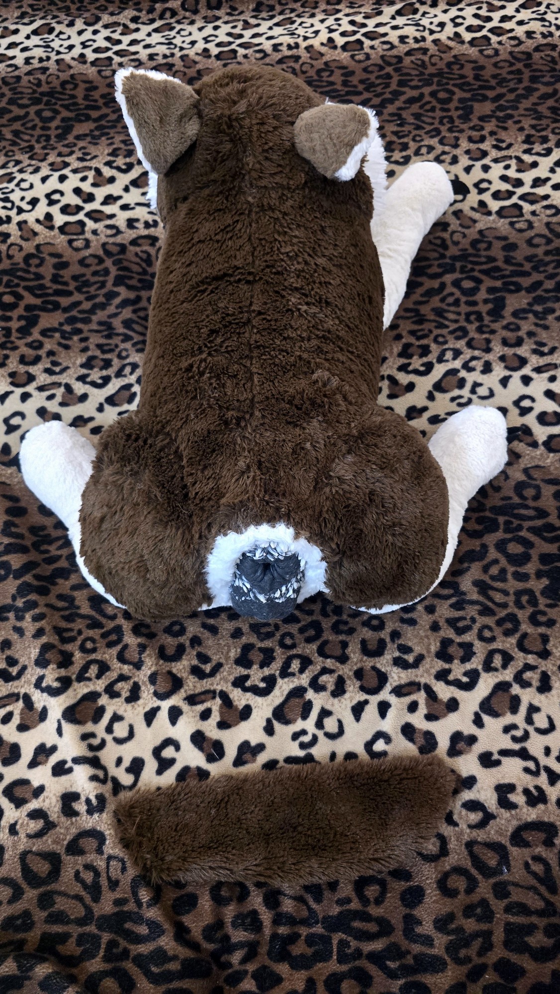 20251119_174759 (Copy)