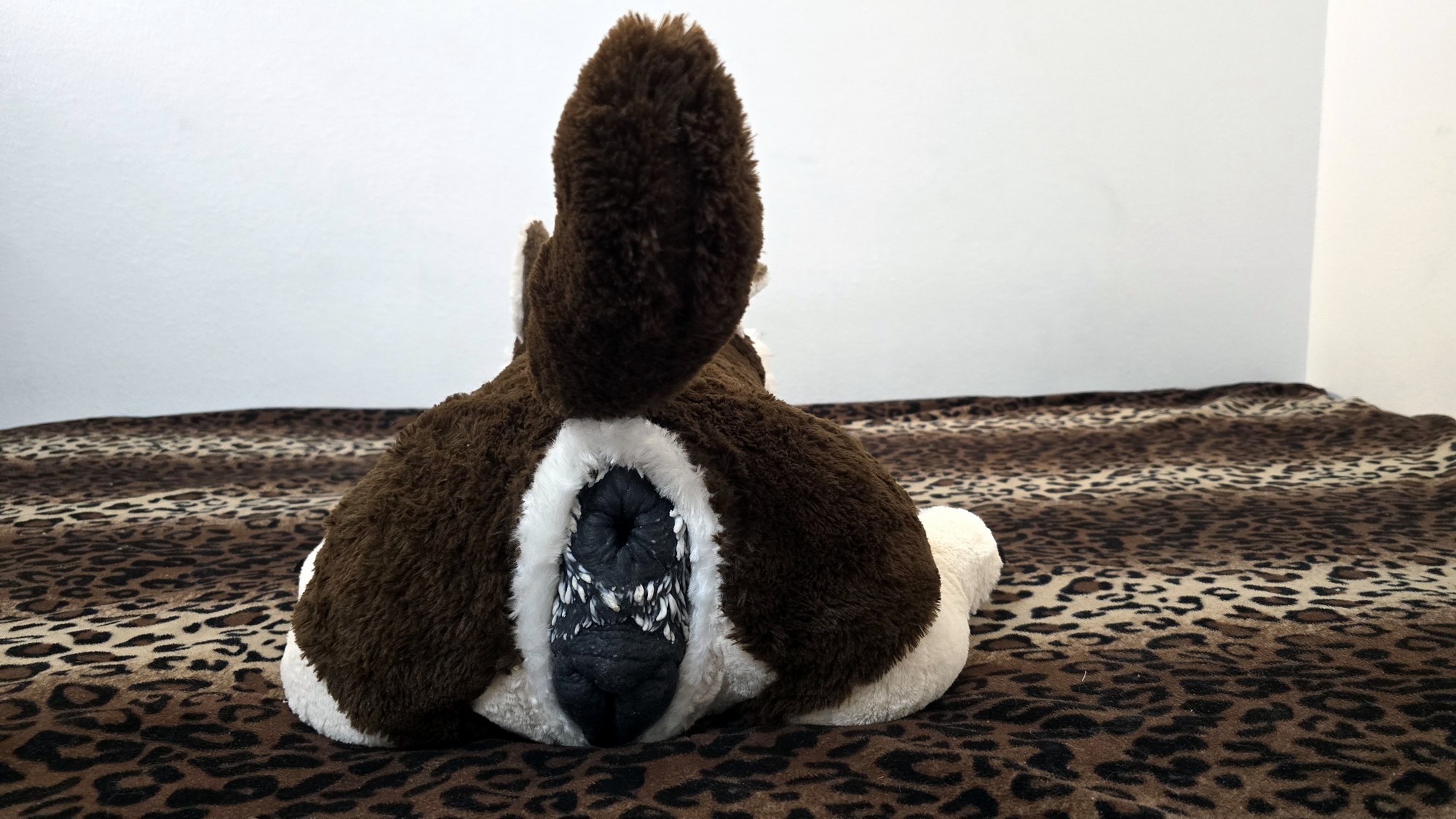 20251119_191411 (Copy)