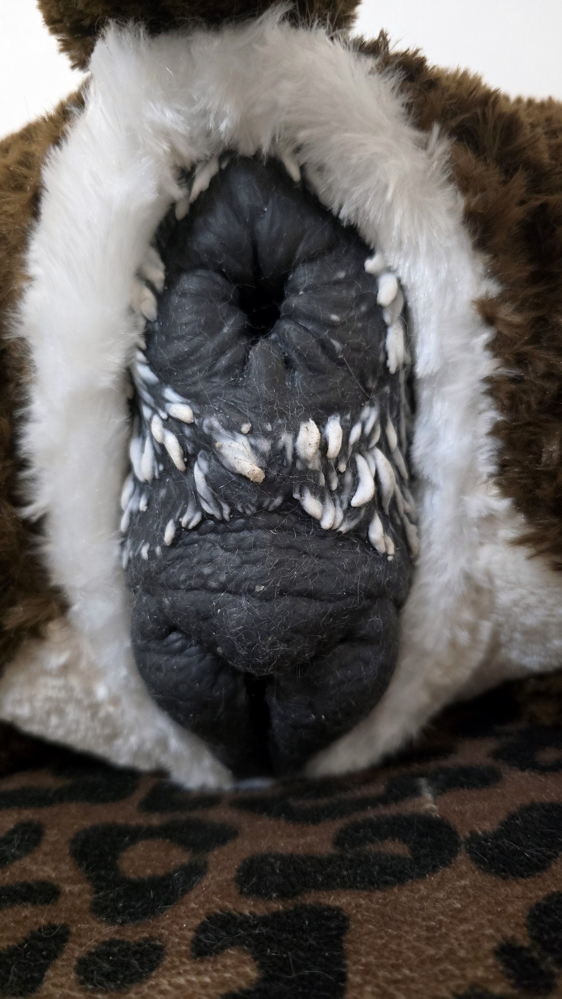 20251119_191420 (Copy)