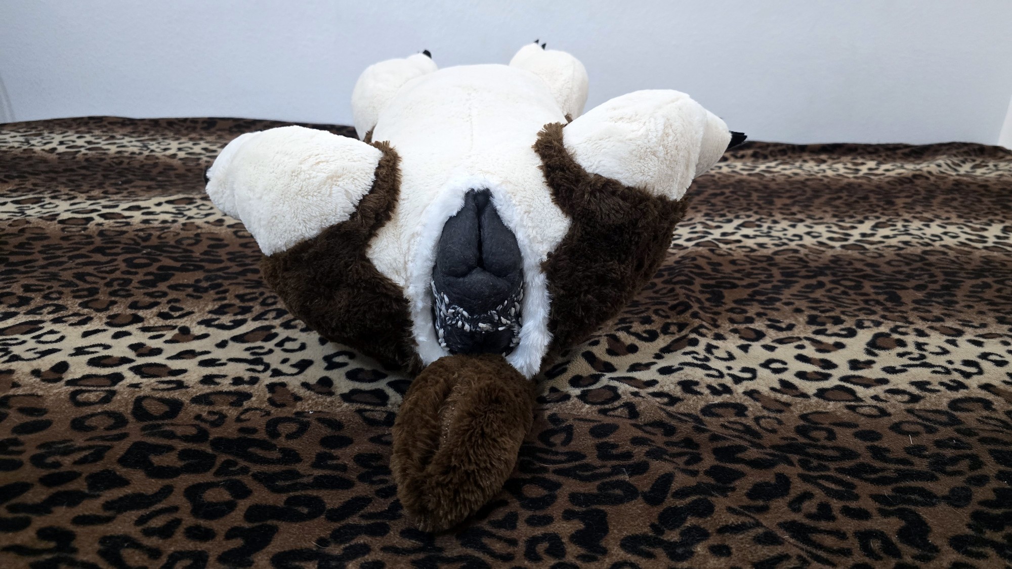 20251119_191447 (Copy)