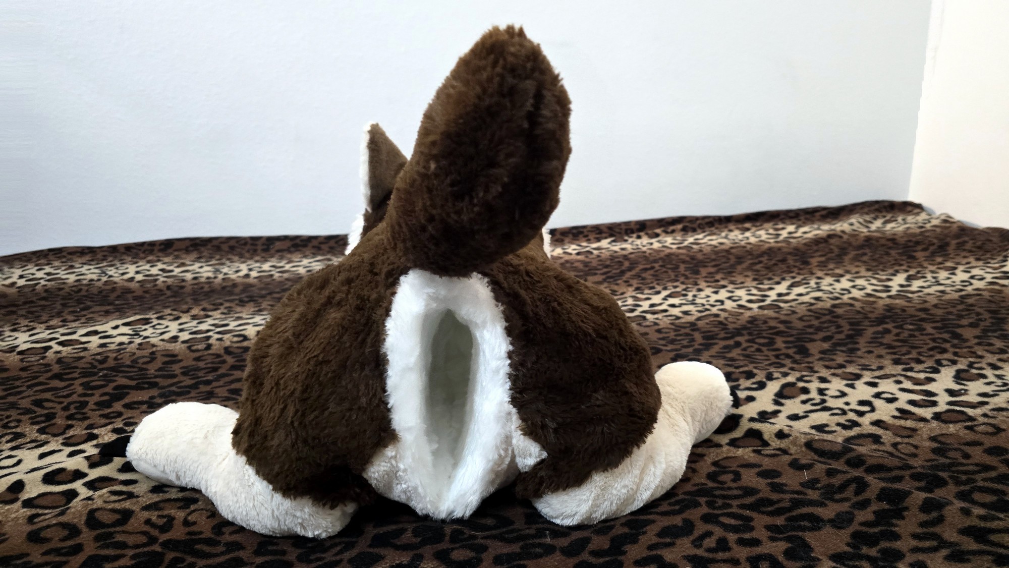 20251119_192220(0) (Copy)