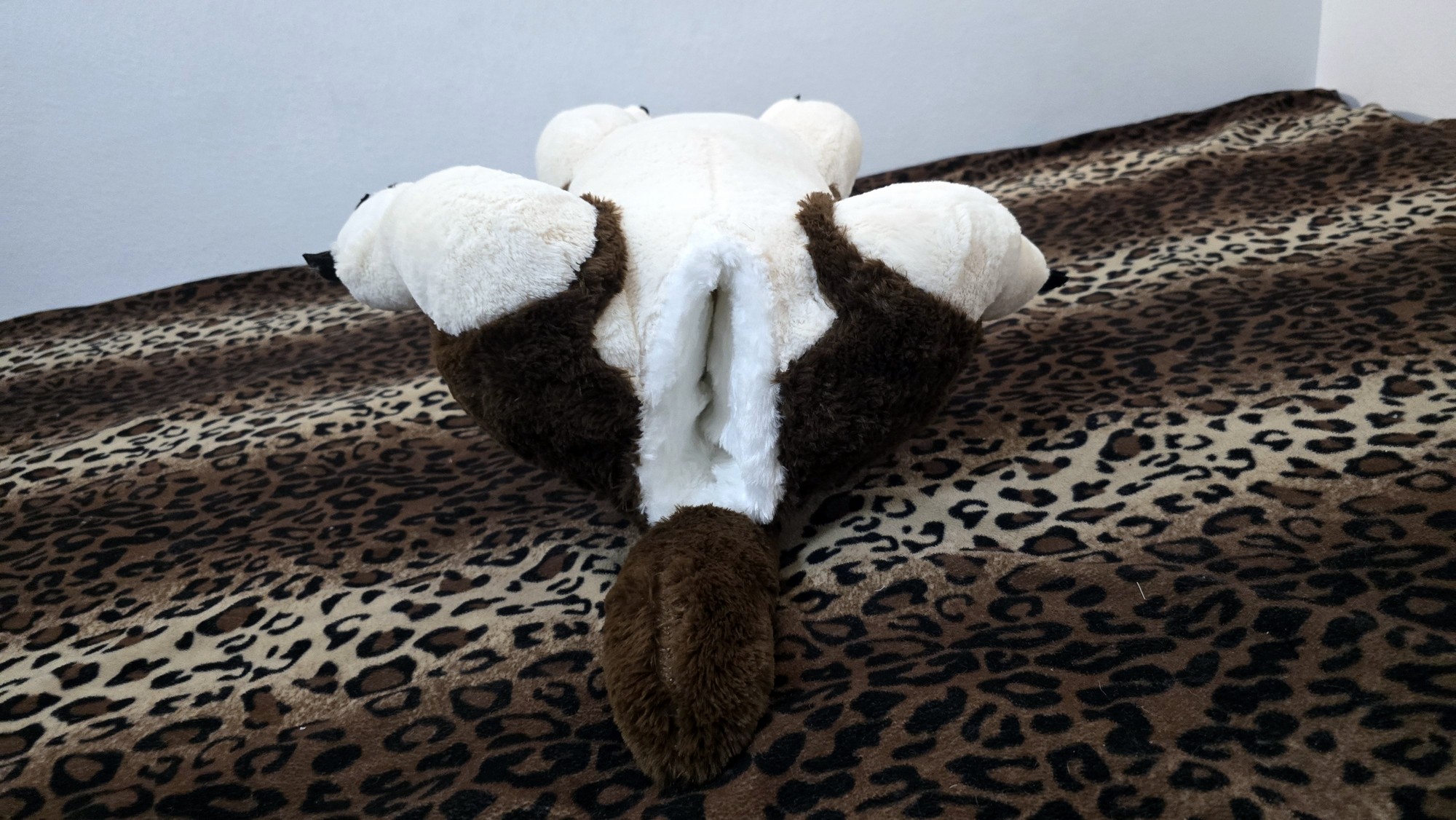 20251119_192244(0) (Copy)