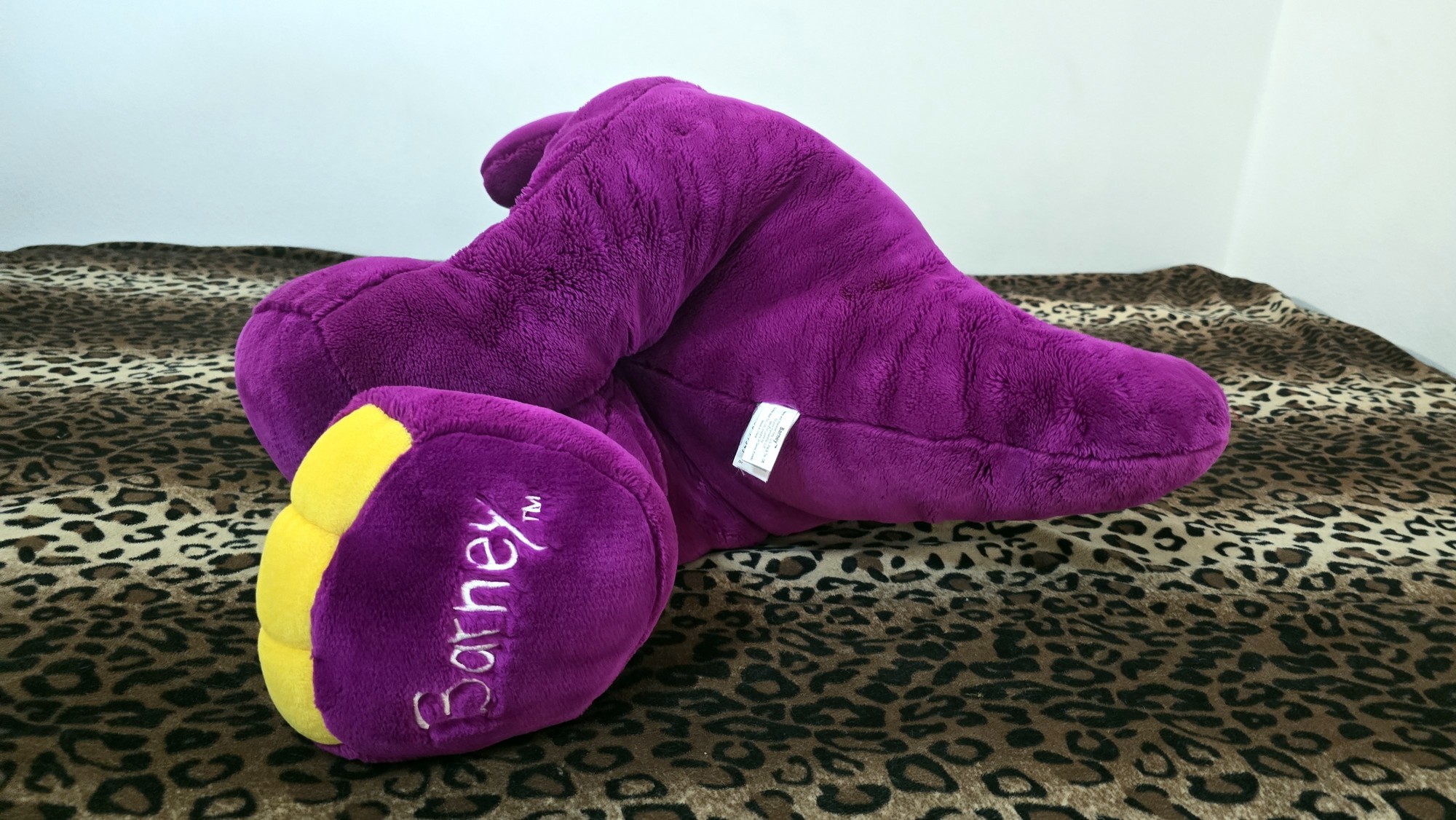 20251120_103603 (Copy)