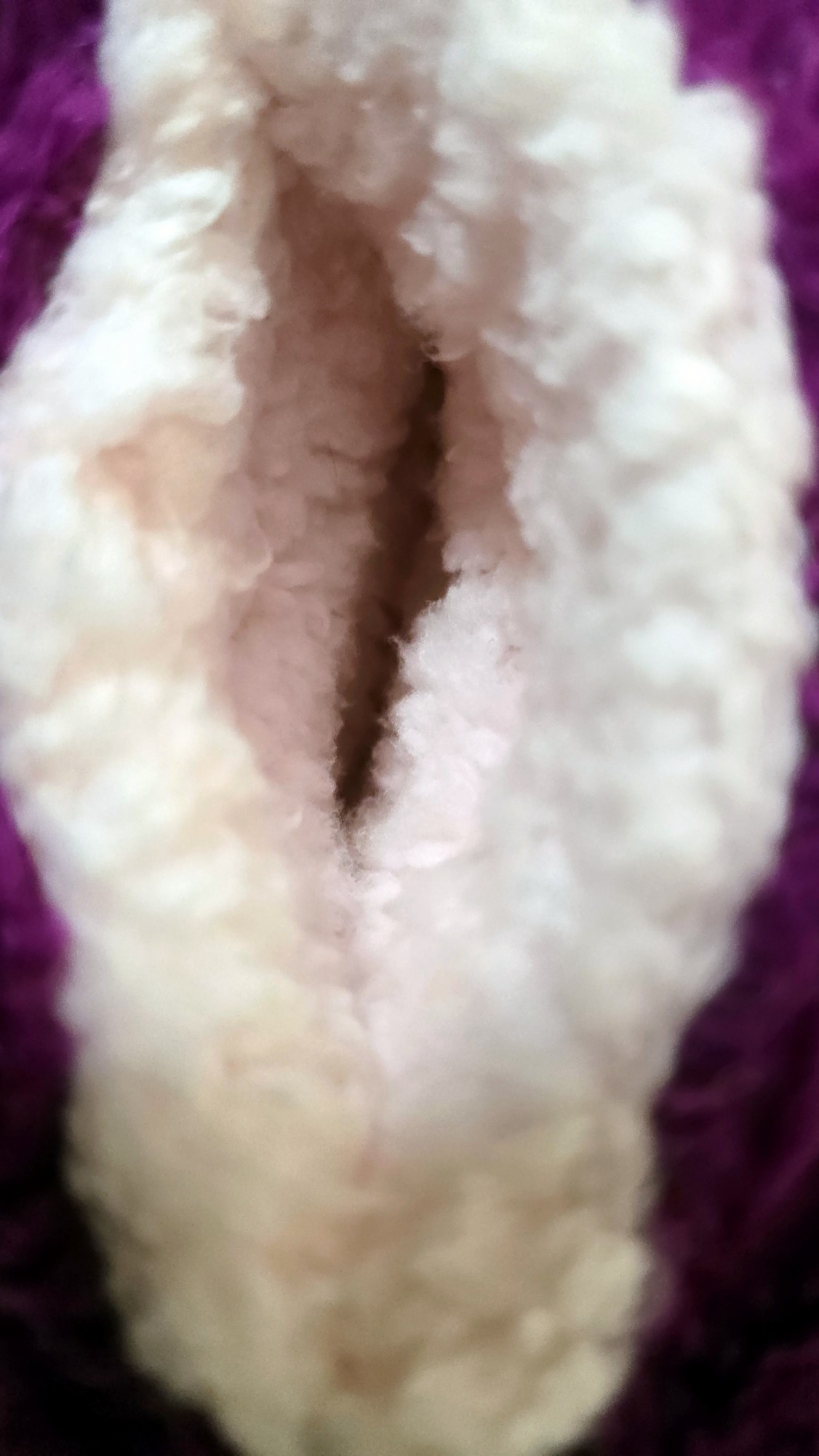 20251120_180102 (Copy)