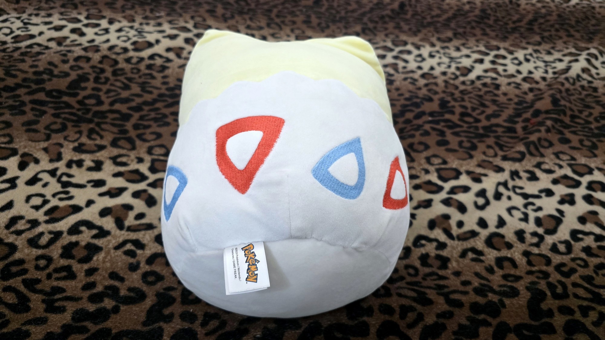 20260122_141011 (Copy)