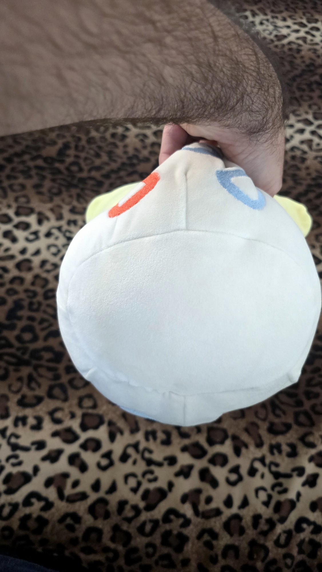 20260122_141122 (Copy)