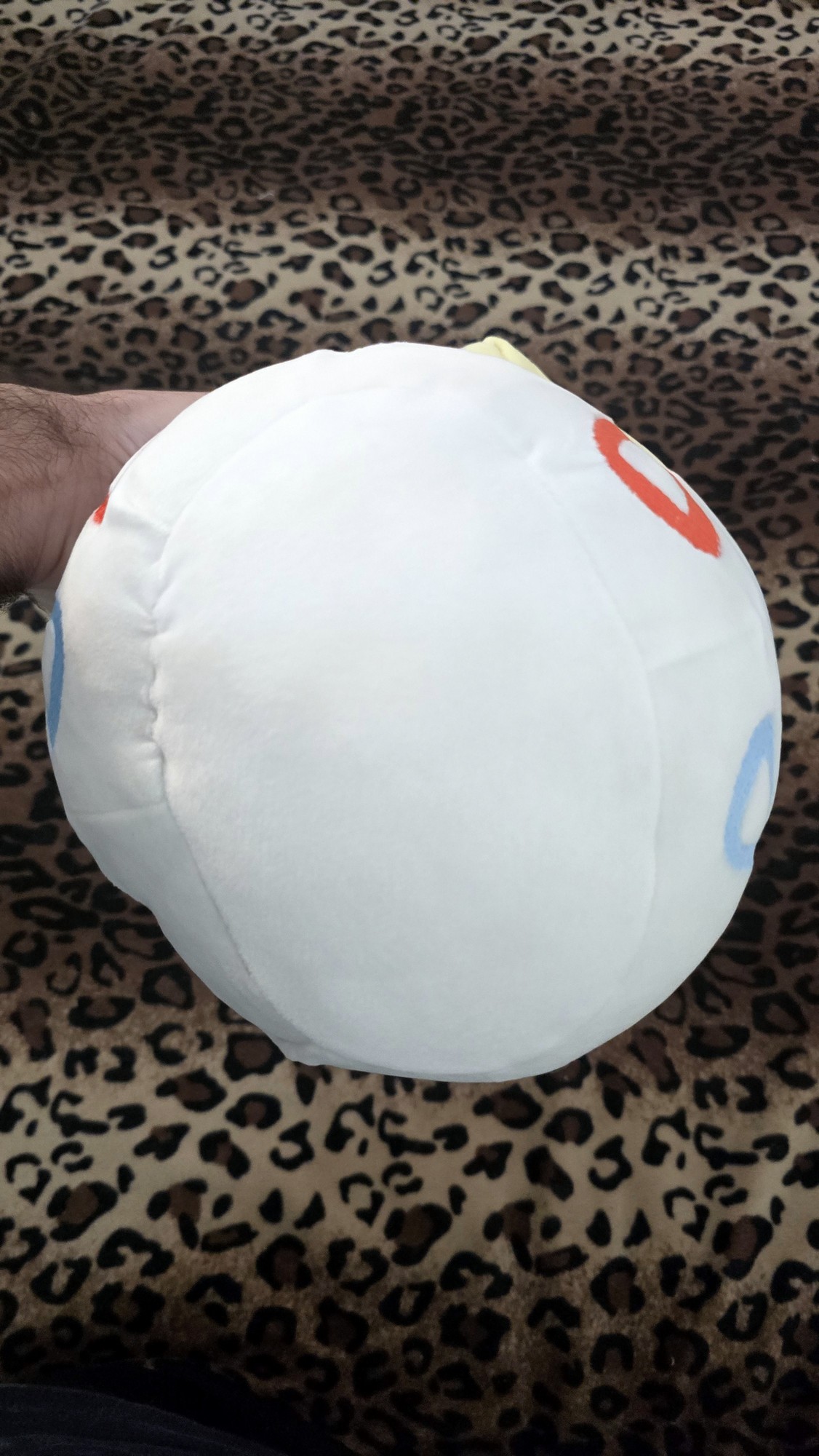 20260122_141125 (Copy)