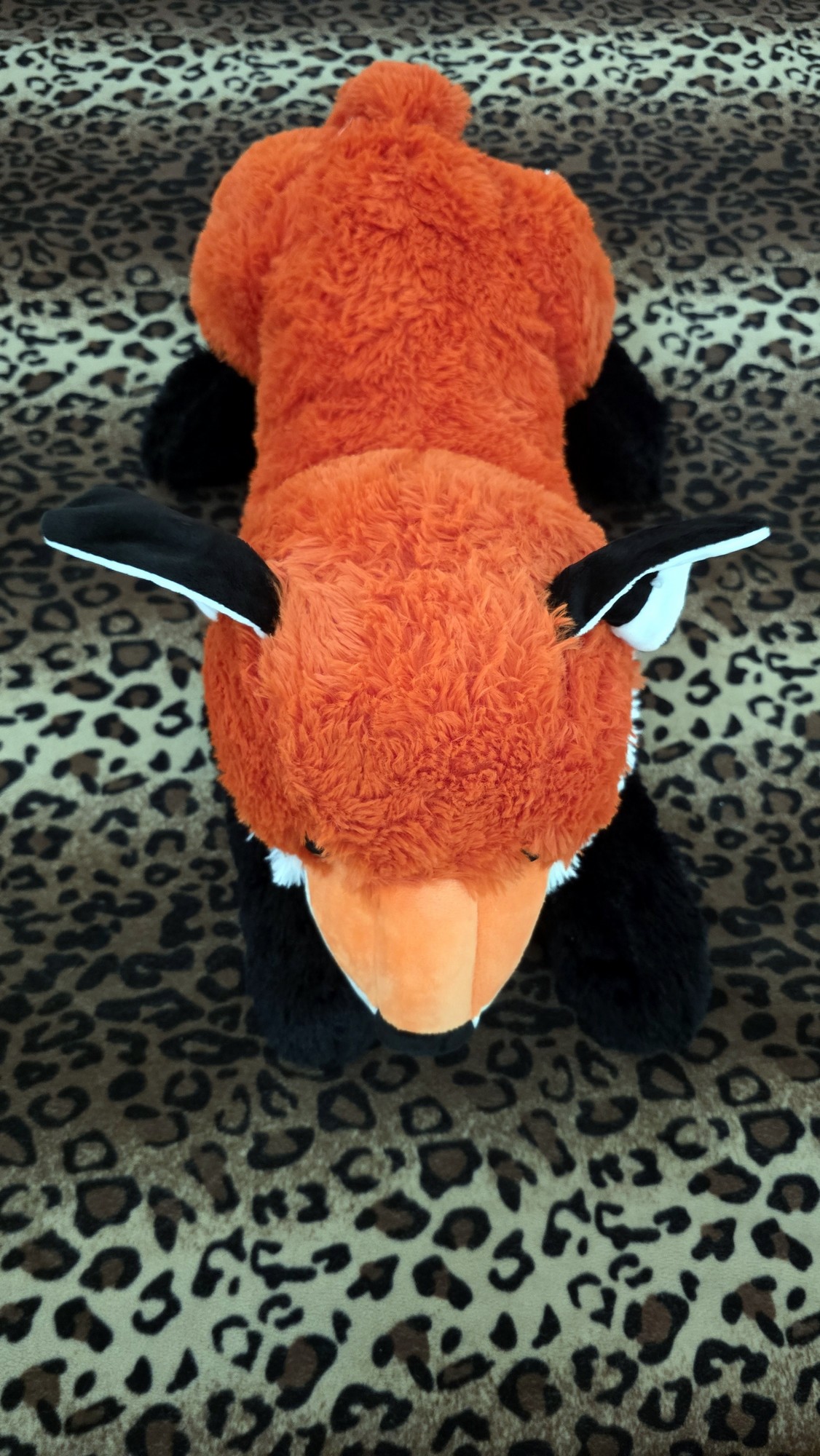 20260204_142422(0) (Copy)