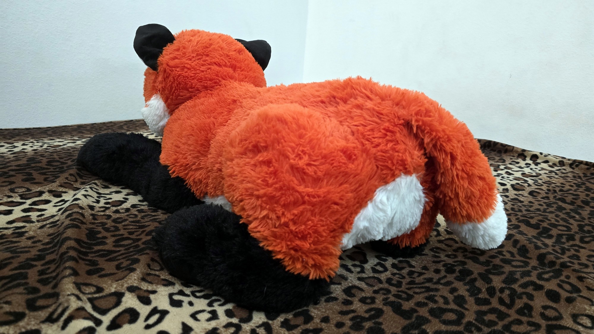 20260204_142746(0) (Copy)