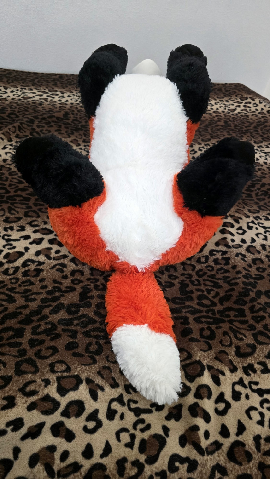 20260204_142829 (Copy)