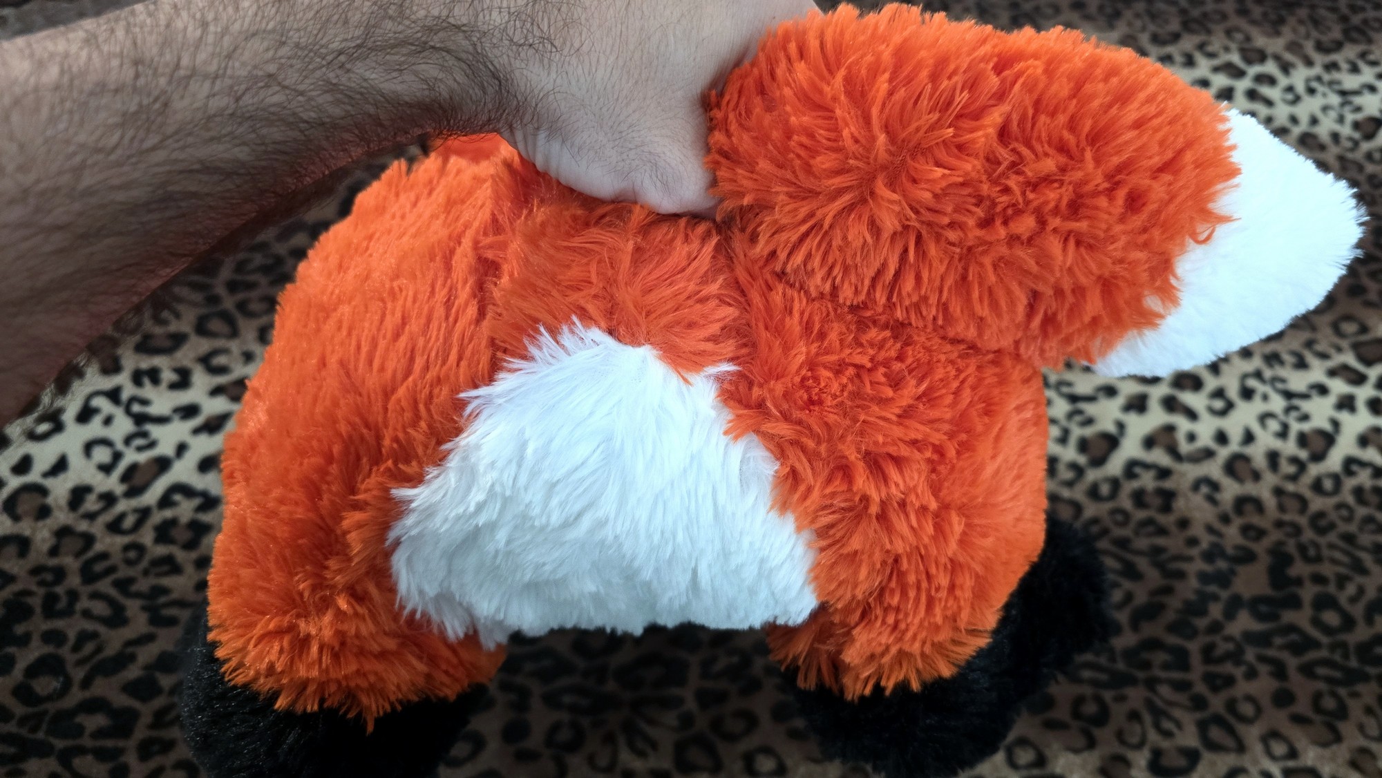 20260204_142849 (Copy)