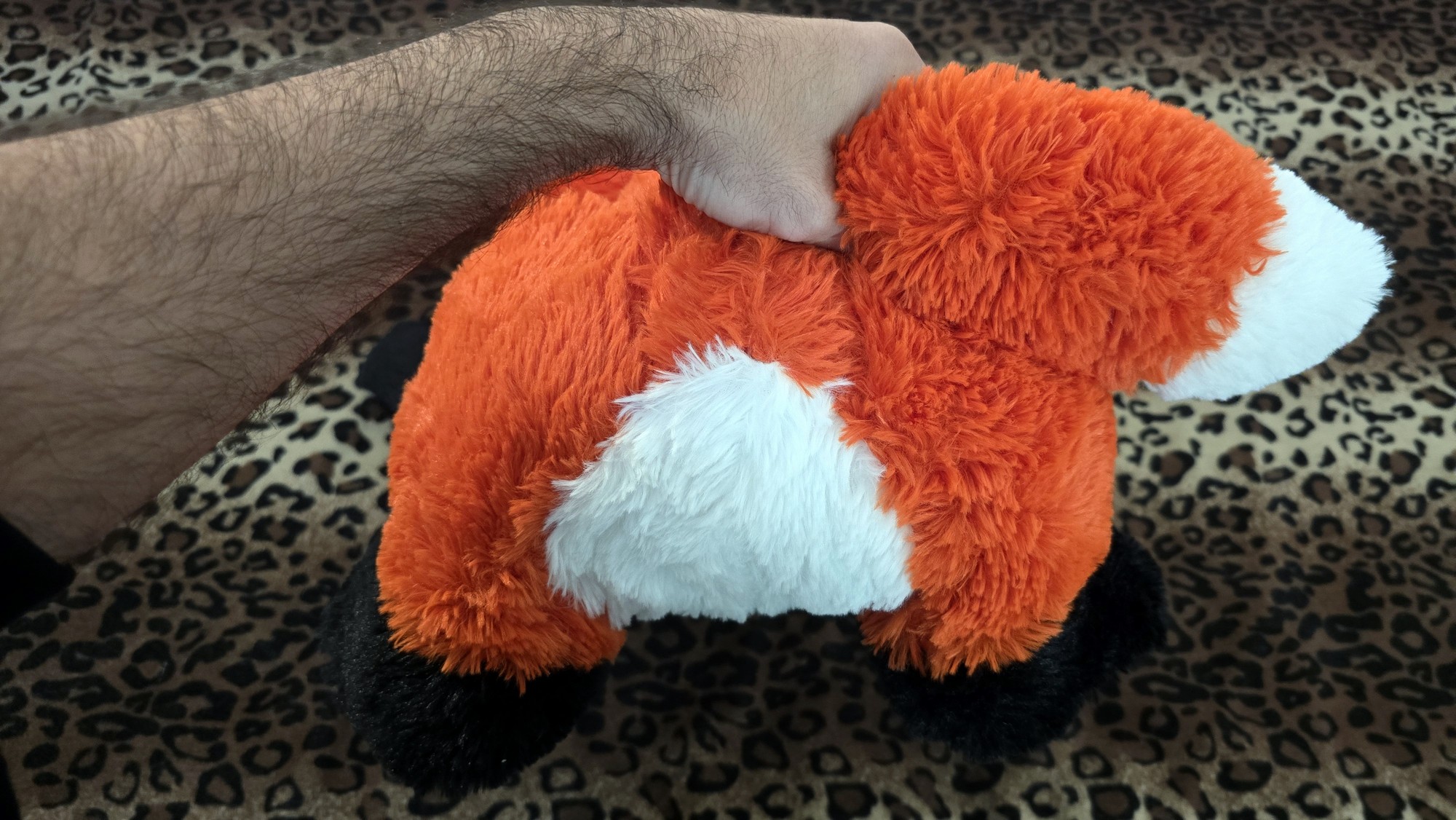 20260204_142854 (Copy)