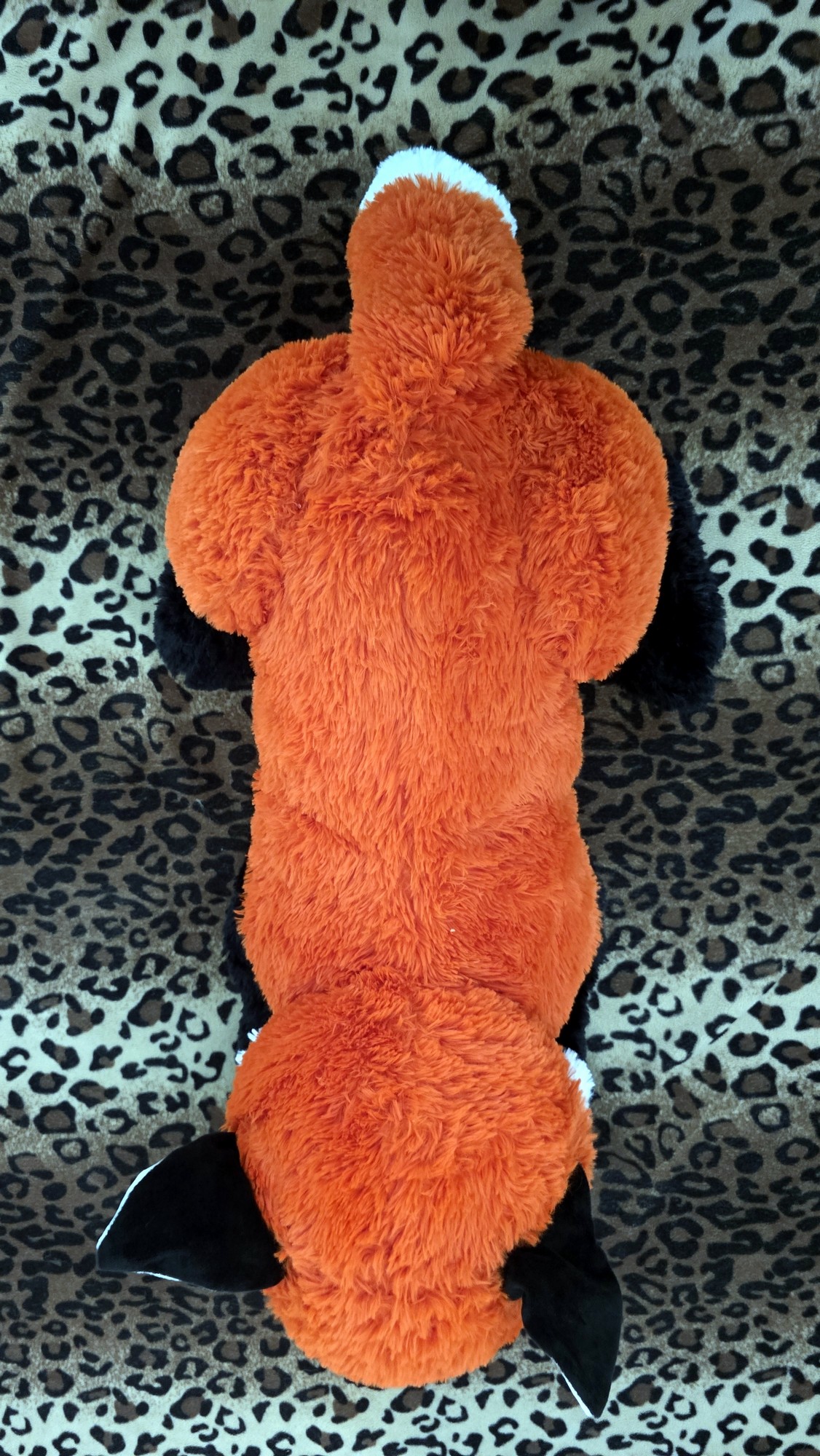 20260204_143014 (Copy)