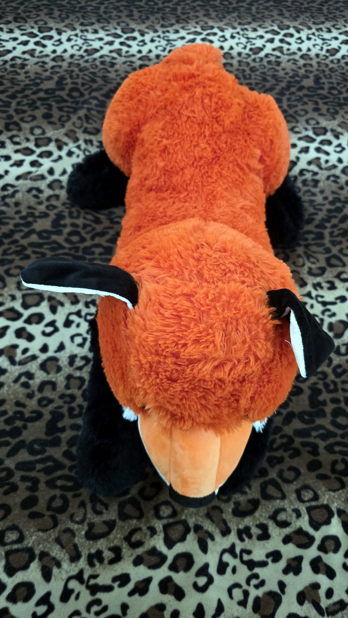 20260204_143027 (Copy)