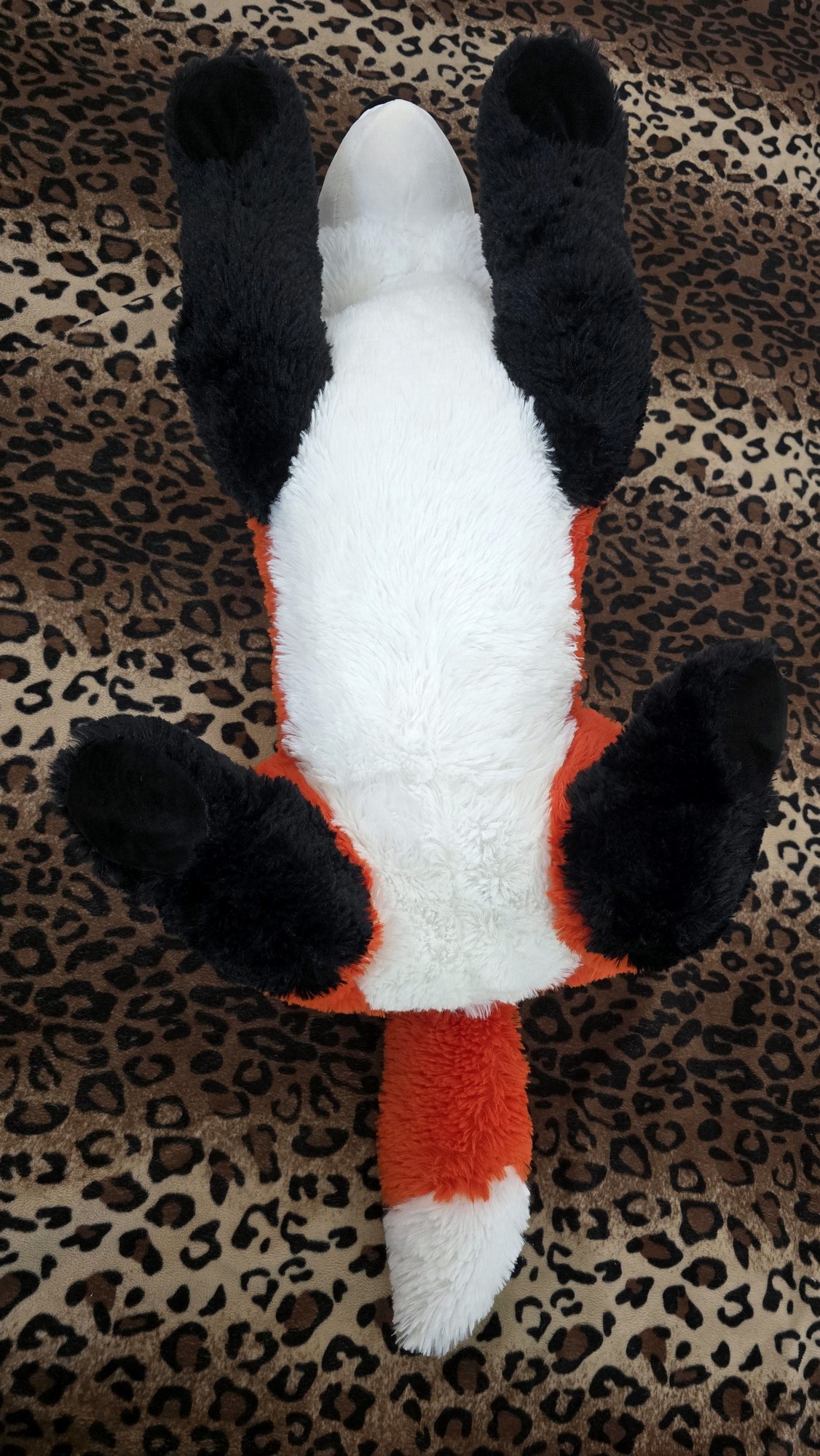 20260204_143048 (Copy)