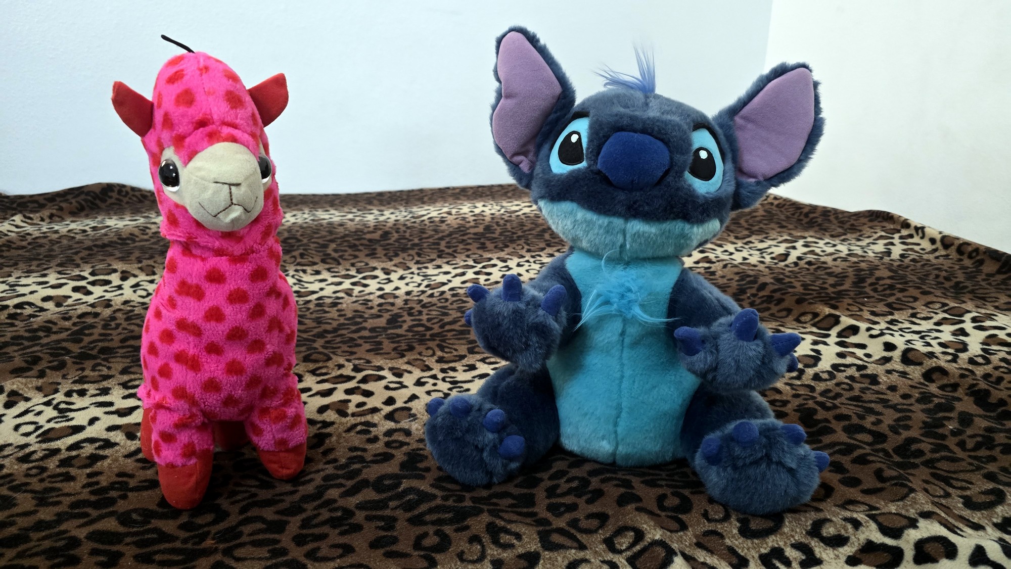 20260204_170858 (Copy)