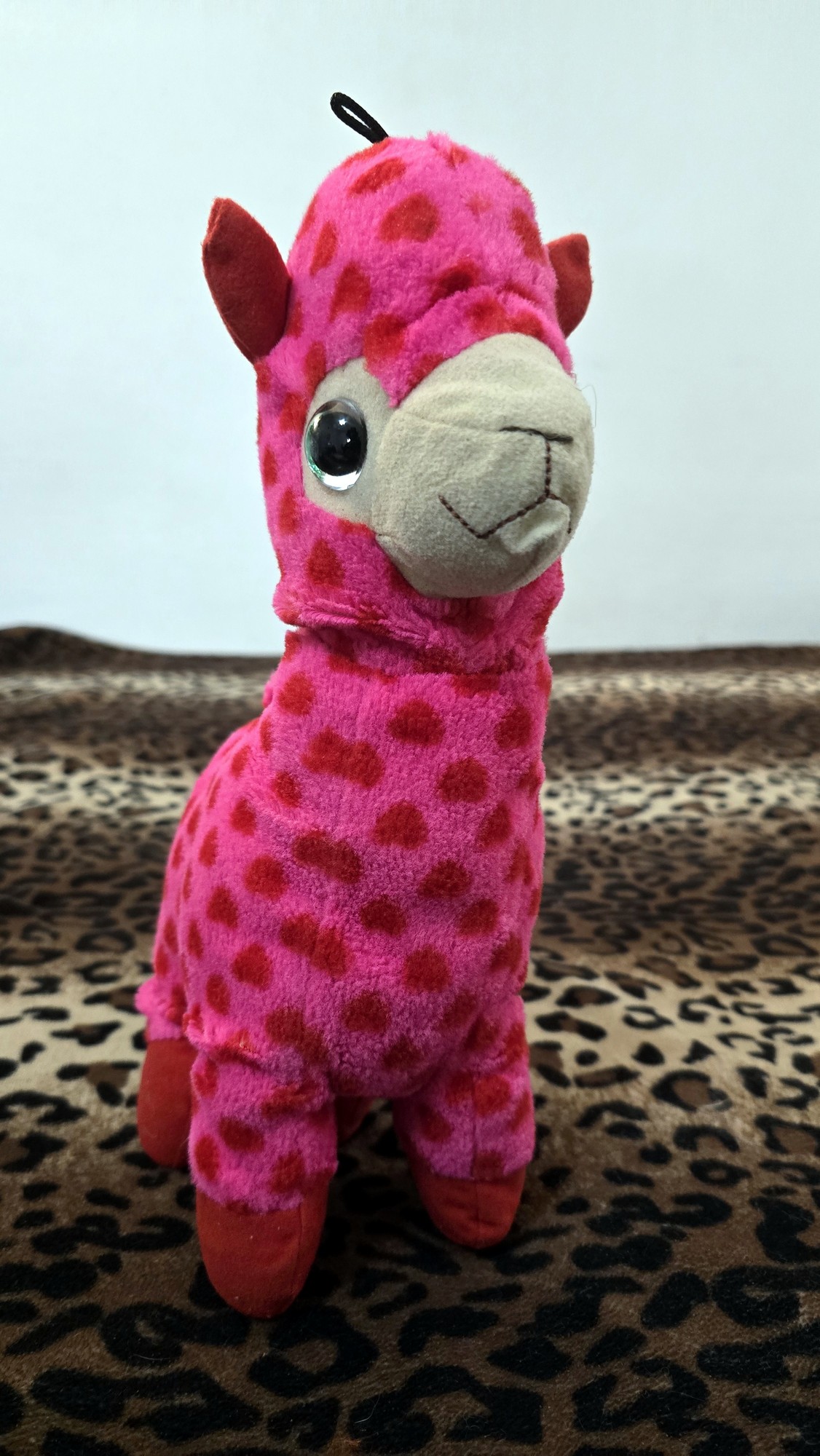 20260204_170911(0) (Copy)