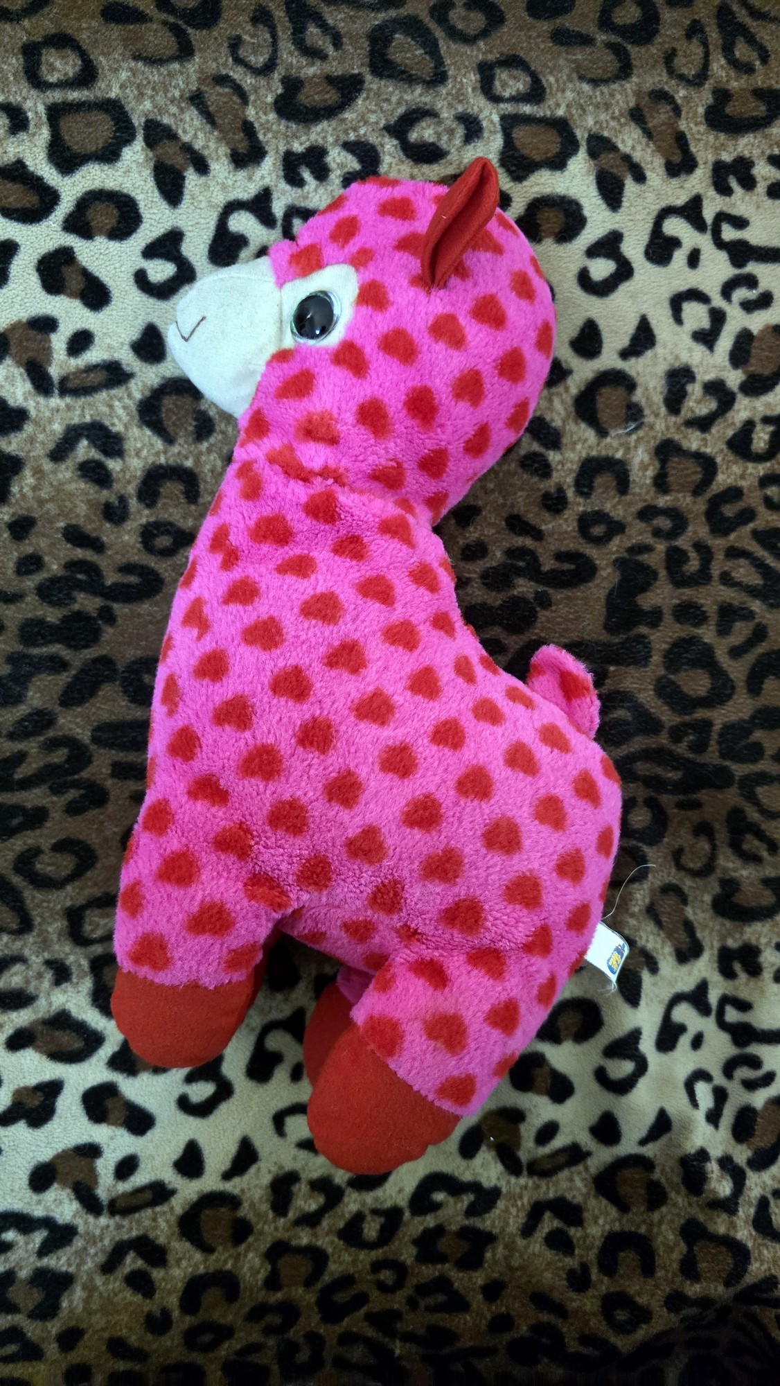 20260204_170937 (Copy)