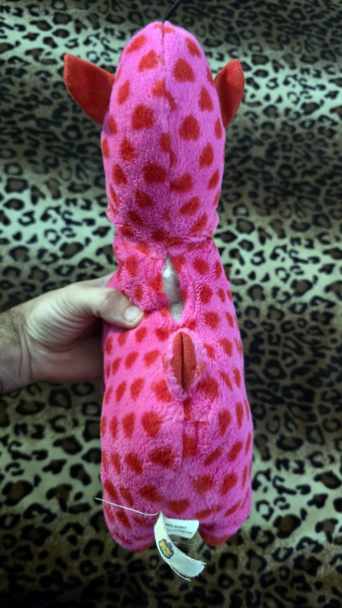 20260204_170947 (Copy)