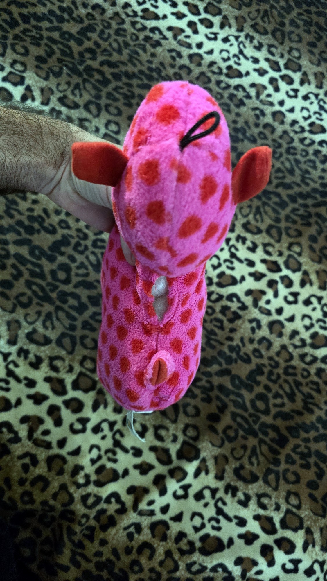 20260204_170953 (Copy)