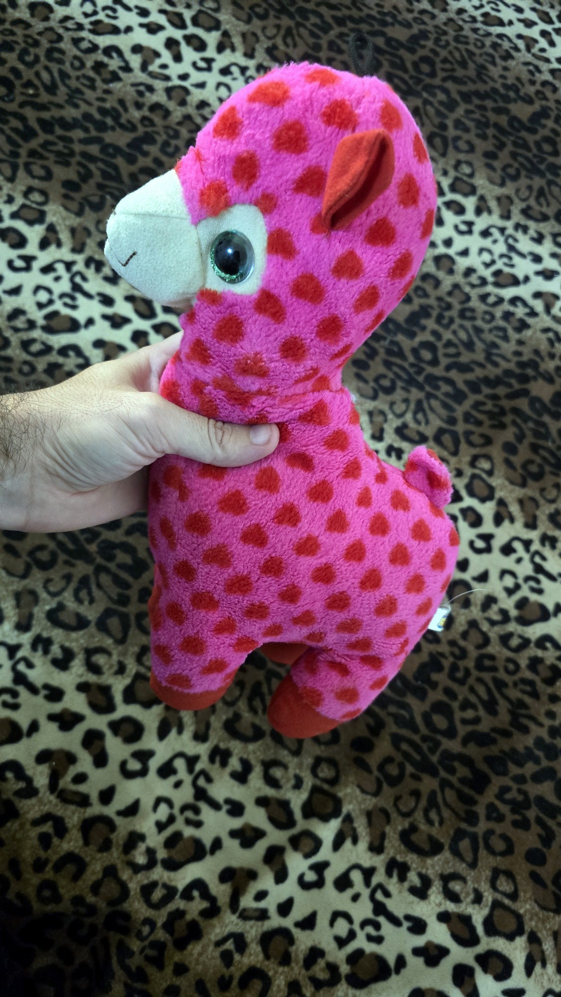 20260204_170955 (Copy)