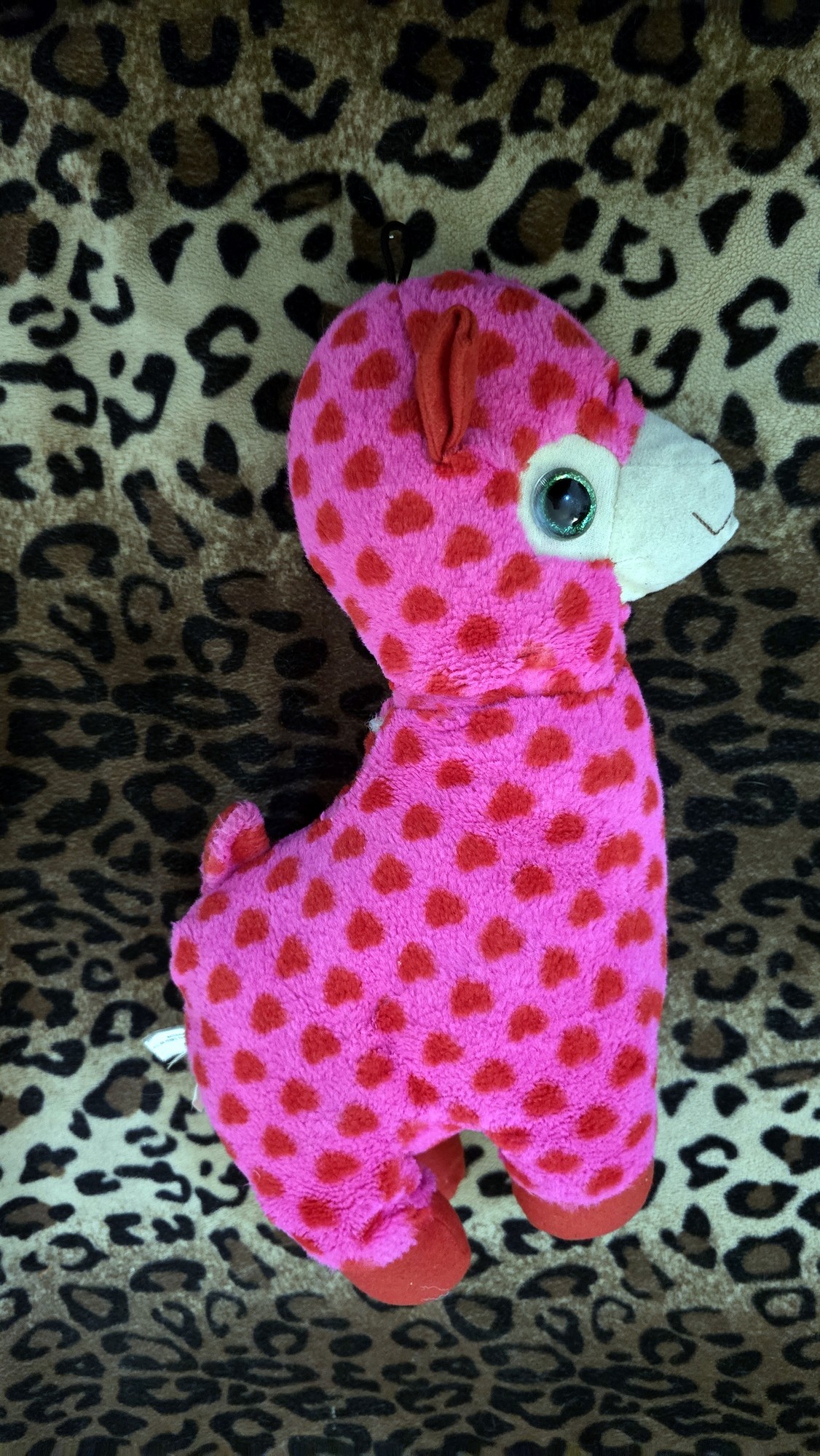 20260204_170958 (Copy)