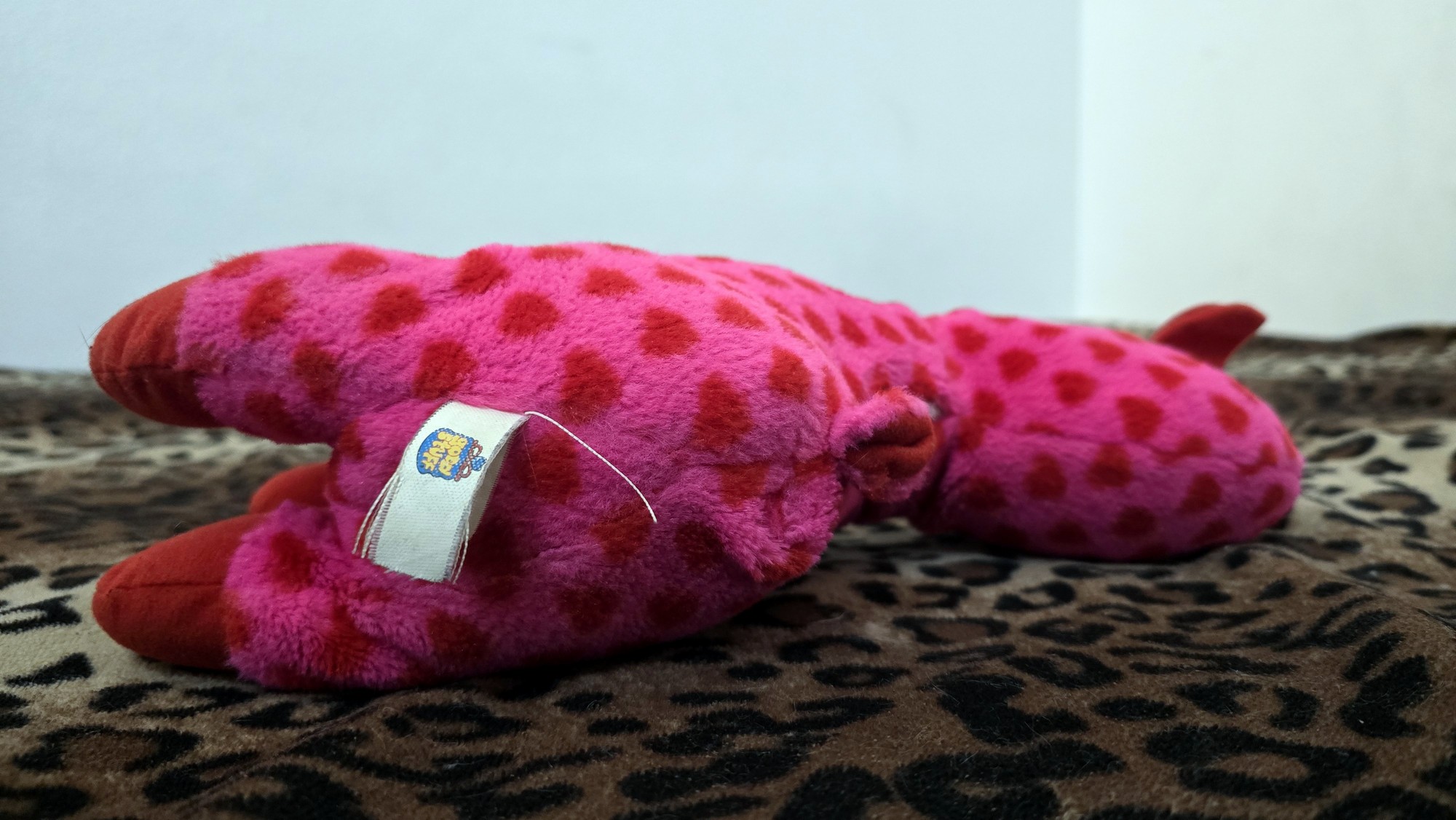 20260204_171011 (Copy)