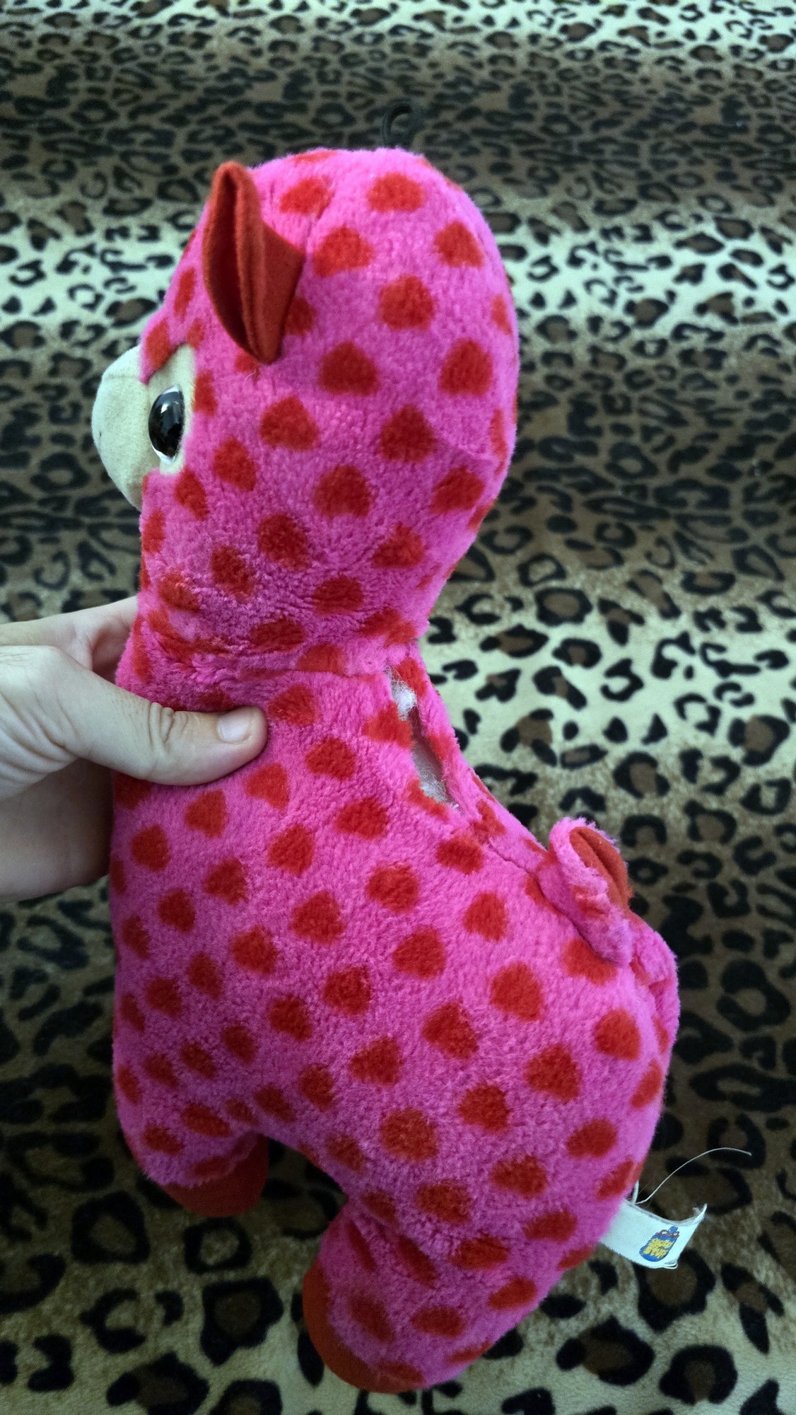 20260204_171625 (Copy)