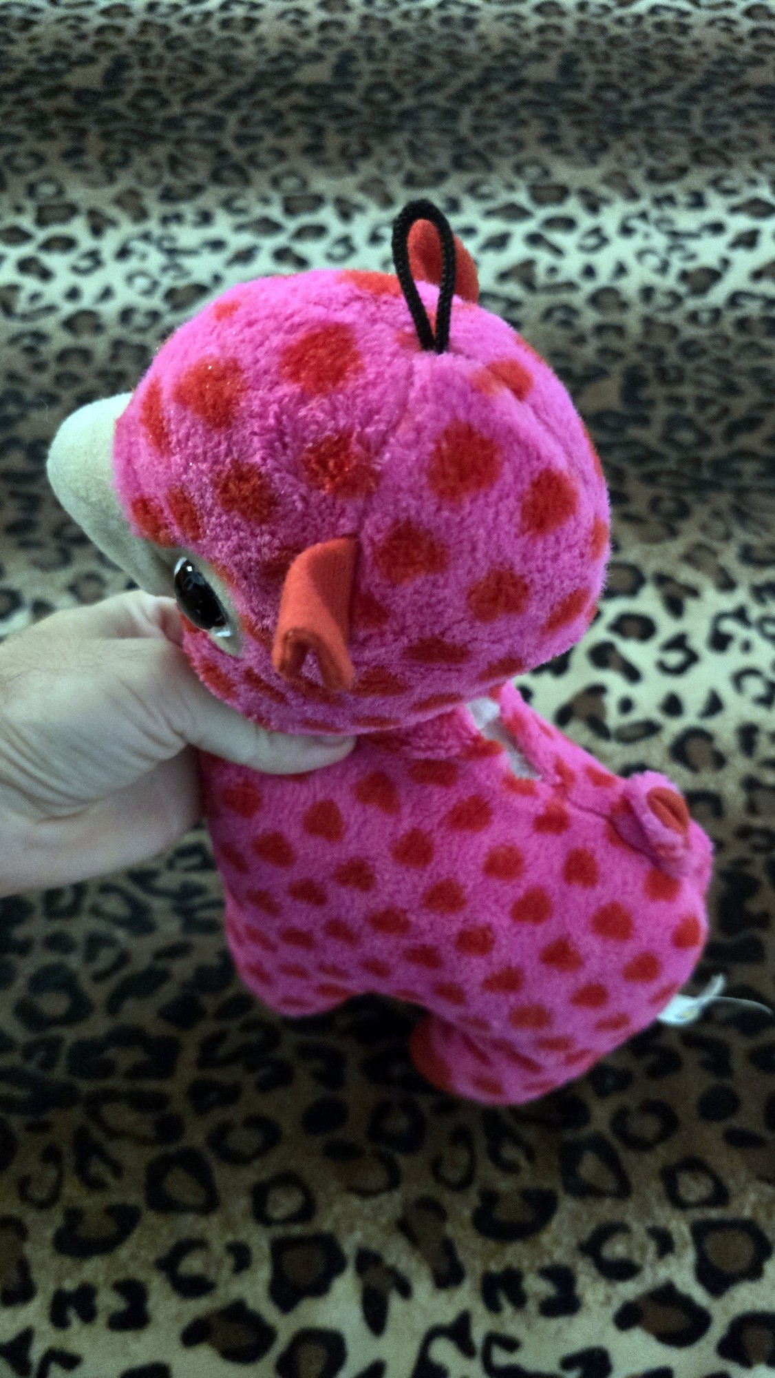 20260204_171627 (Copy)